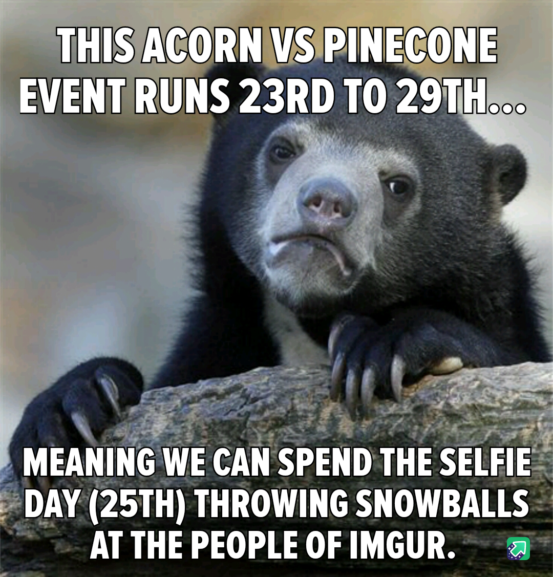 Prepare for a Snowball Fight Right in Your Face!
