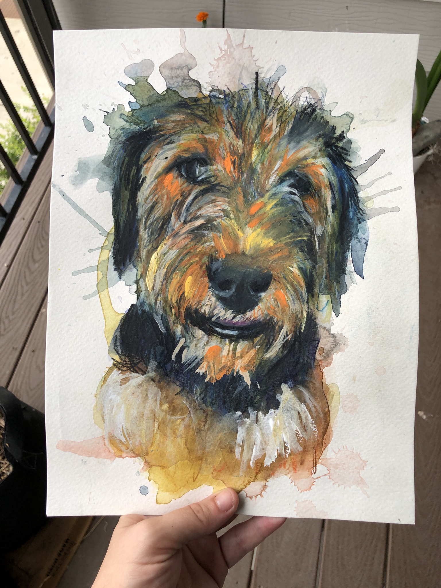 Meet Benny, the man of the hour!