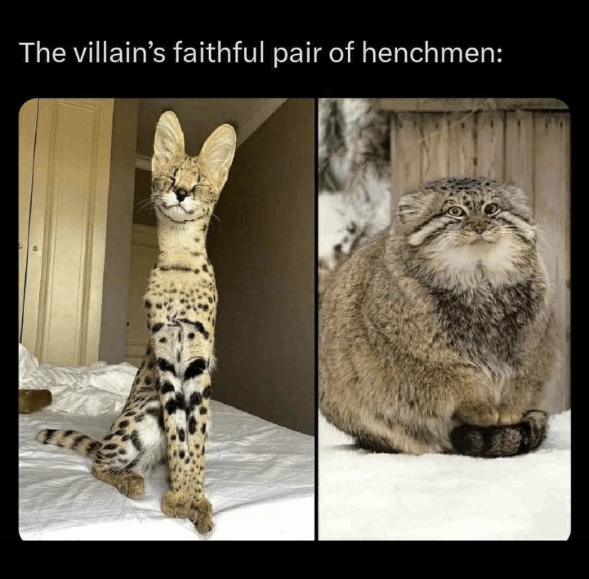 The Tale of Rosencrantz and Guildenstern