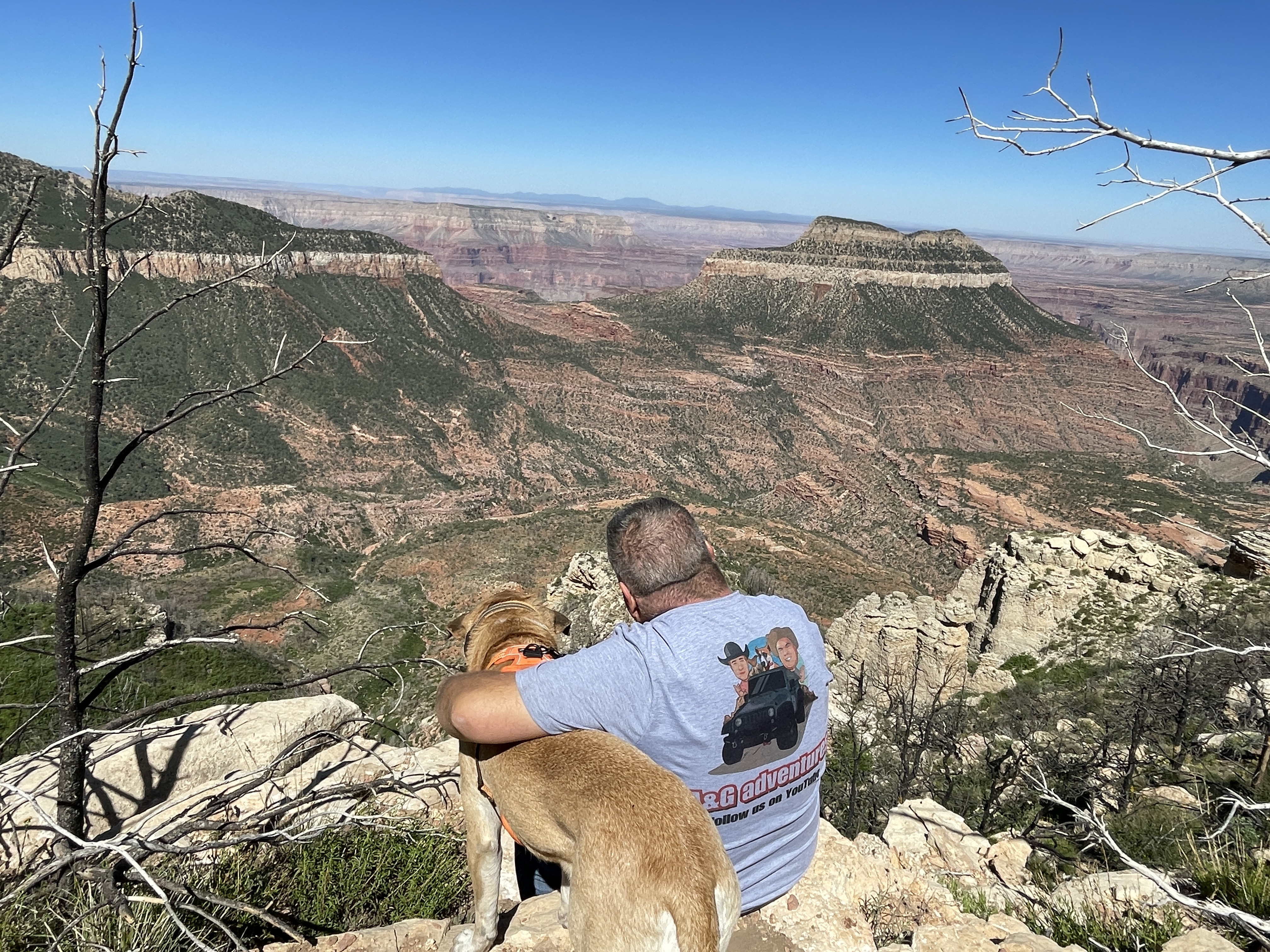 The Majestic Grand Canyon of Arizona