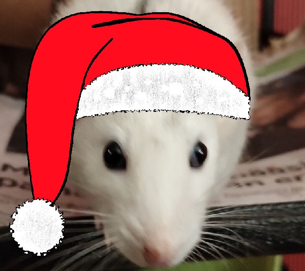 Meet Joulurotta, the festive spirit!