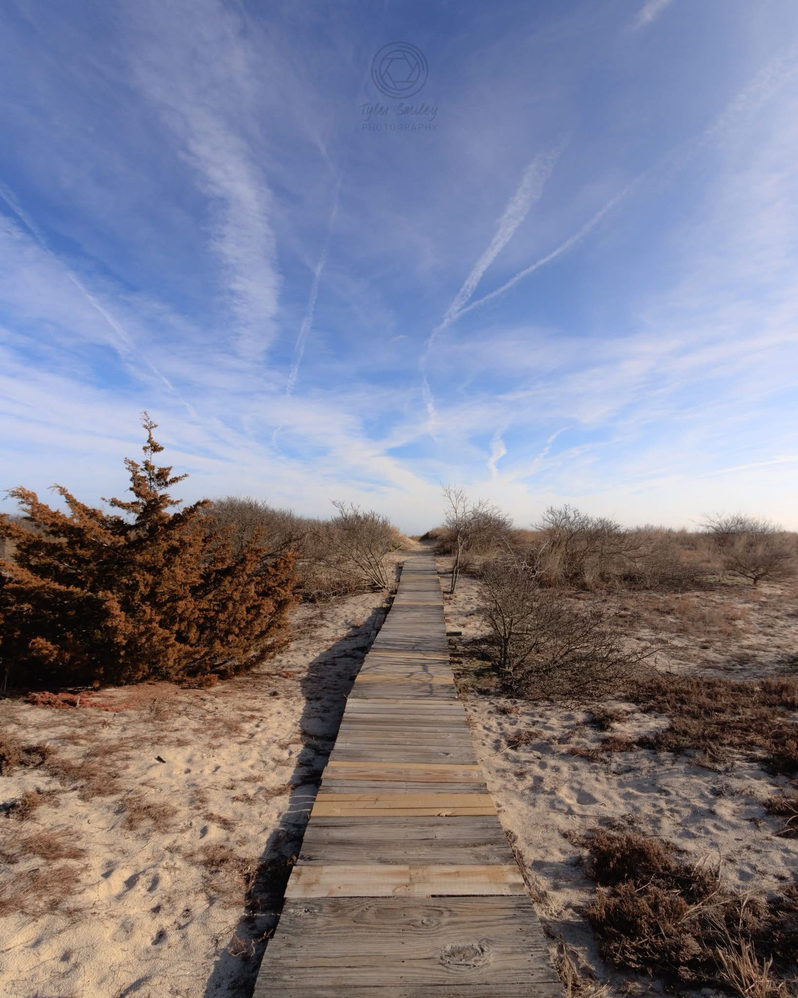 Beach Day Adventures Await!