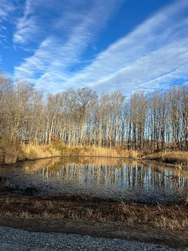 Deep Reflections on Life