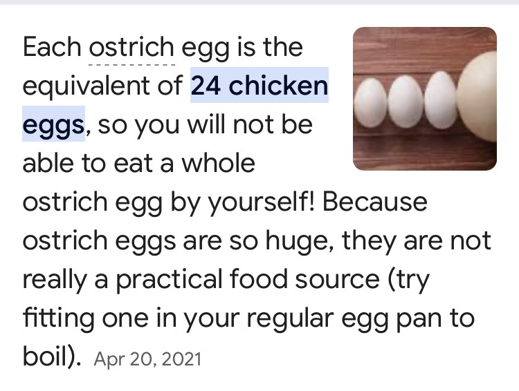 With Egg Prices Soaring, It's Time for Ostriches to Shine!