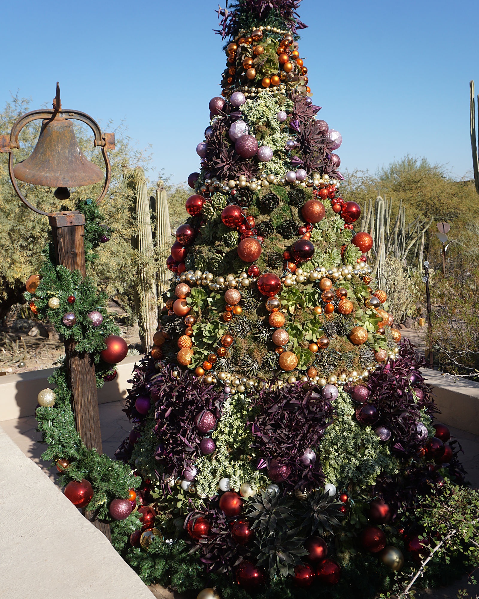 Discover the Beauty of Desert Botanical Gardens Again