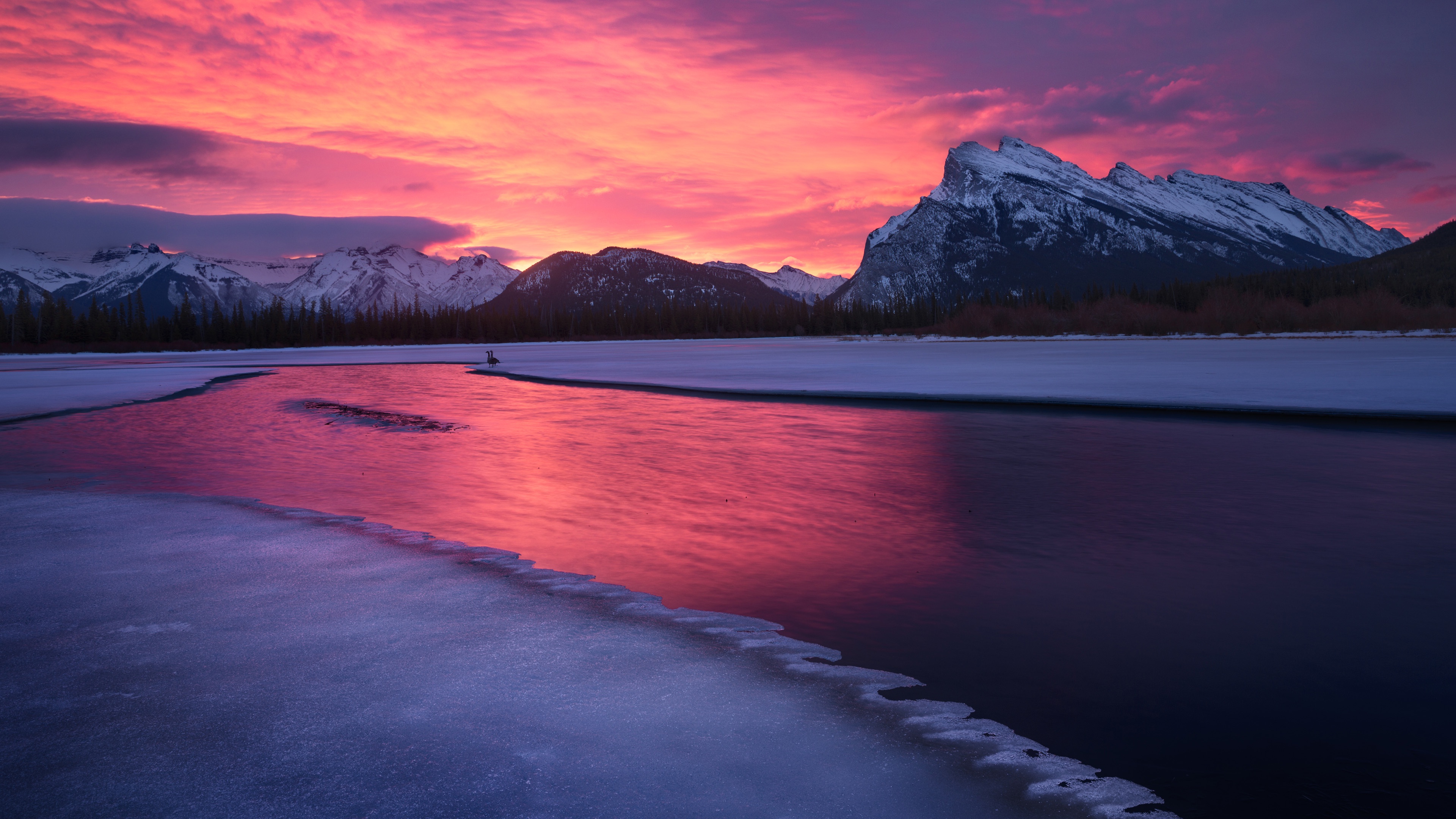 Shine bright, Canada!