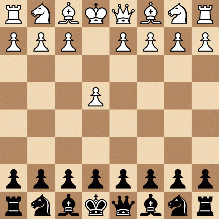 The Intriguing World of Chess