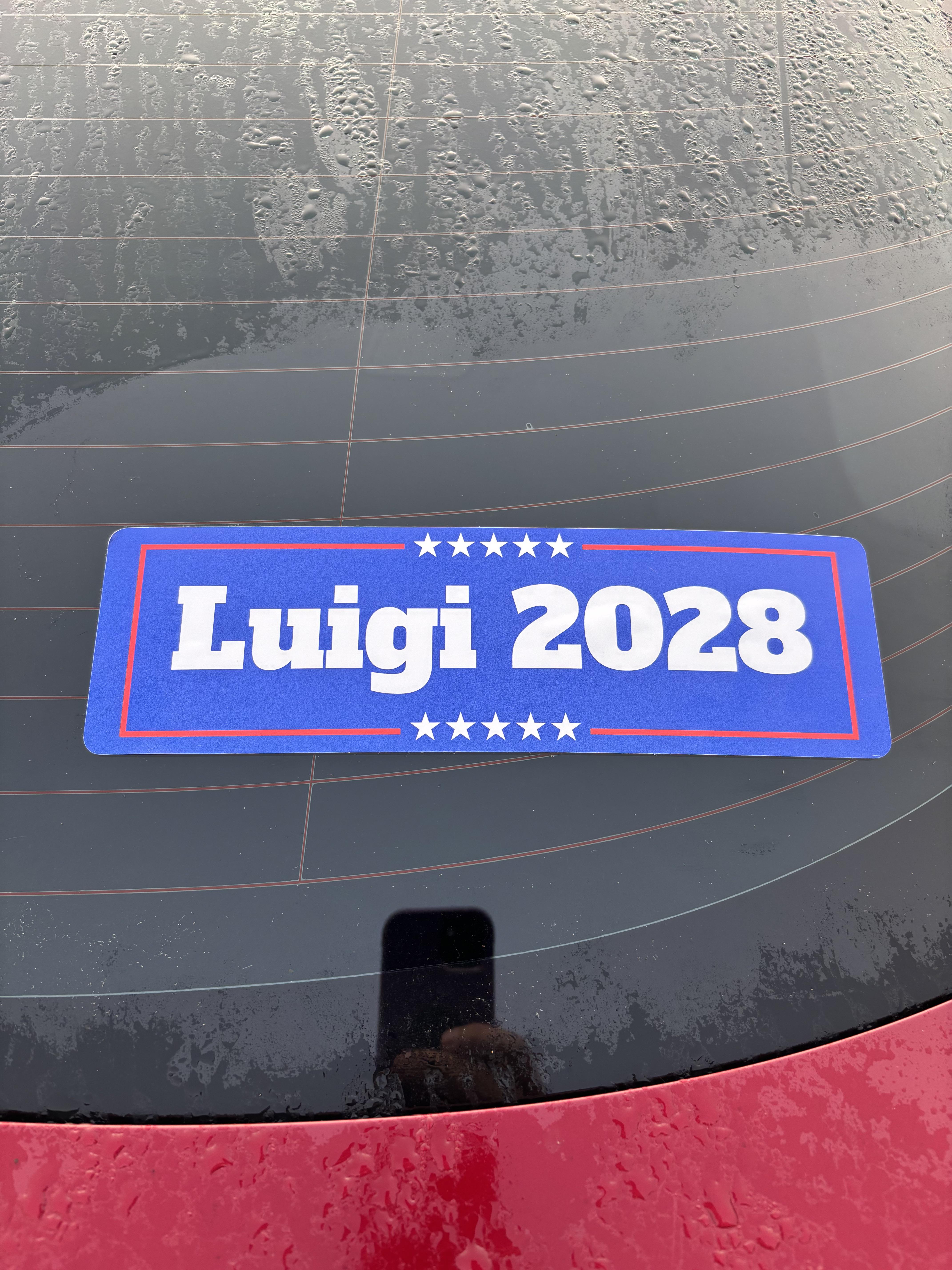 LUIGI for President 2028 - The Campaign Begins!