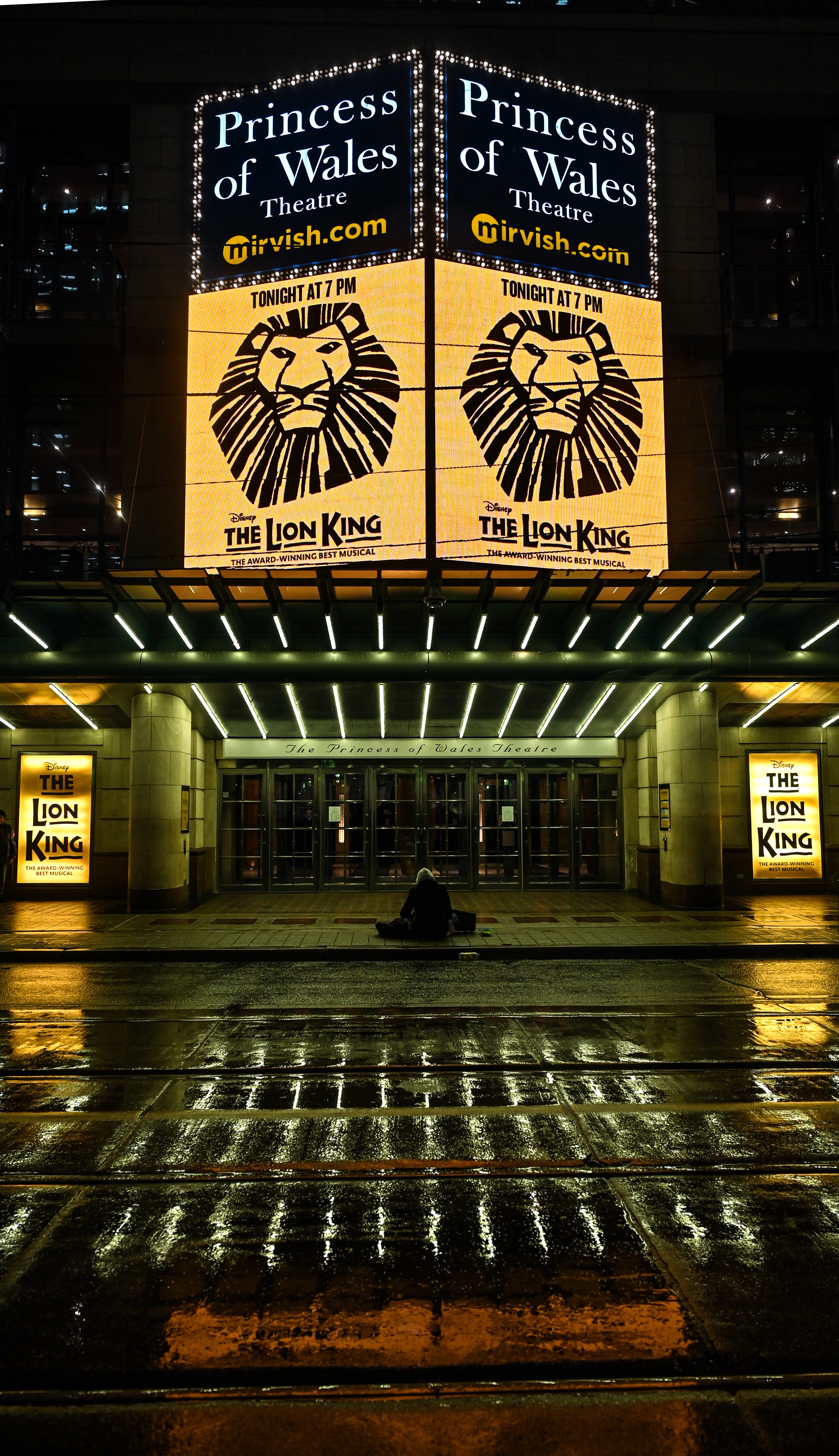 Majestic Lion in All Its Glory