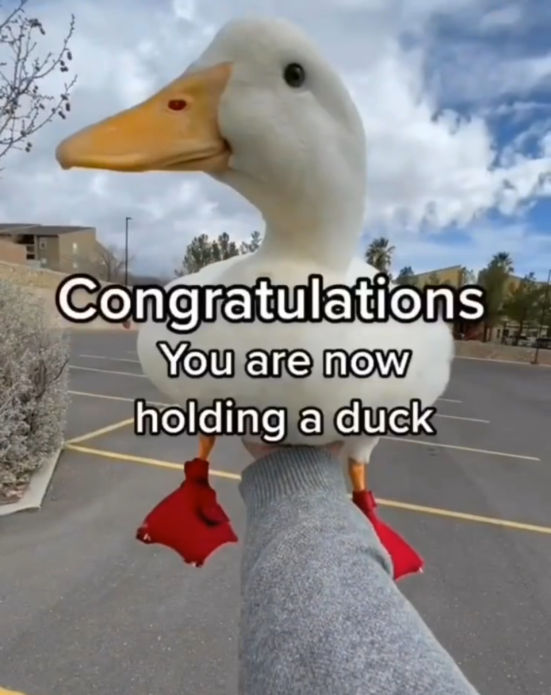 Get Ready: Hold Your Phone Out in Front of You