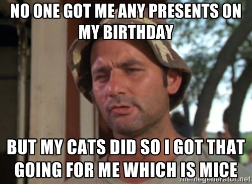 The Heartbreaking Truth: I Never Receive Any Presents