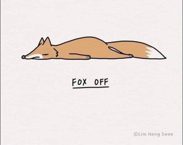 Pun-tastic animal humor that will make you smile.