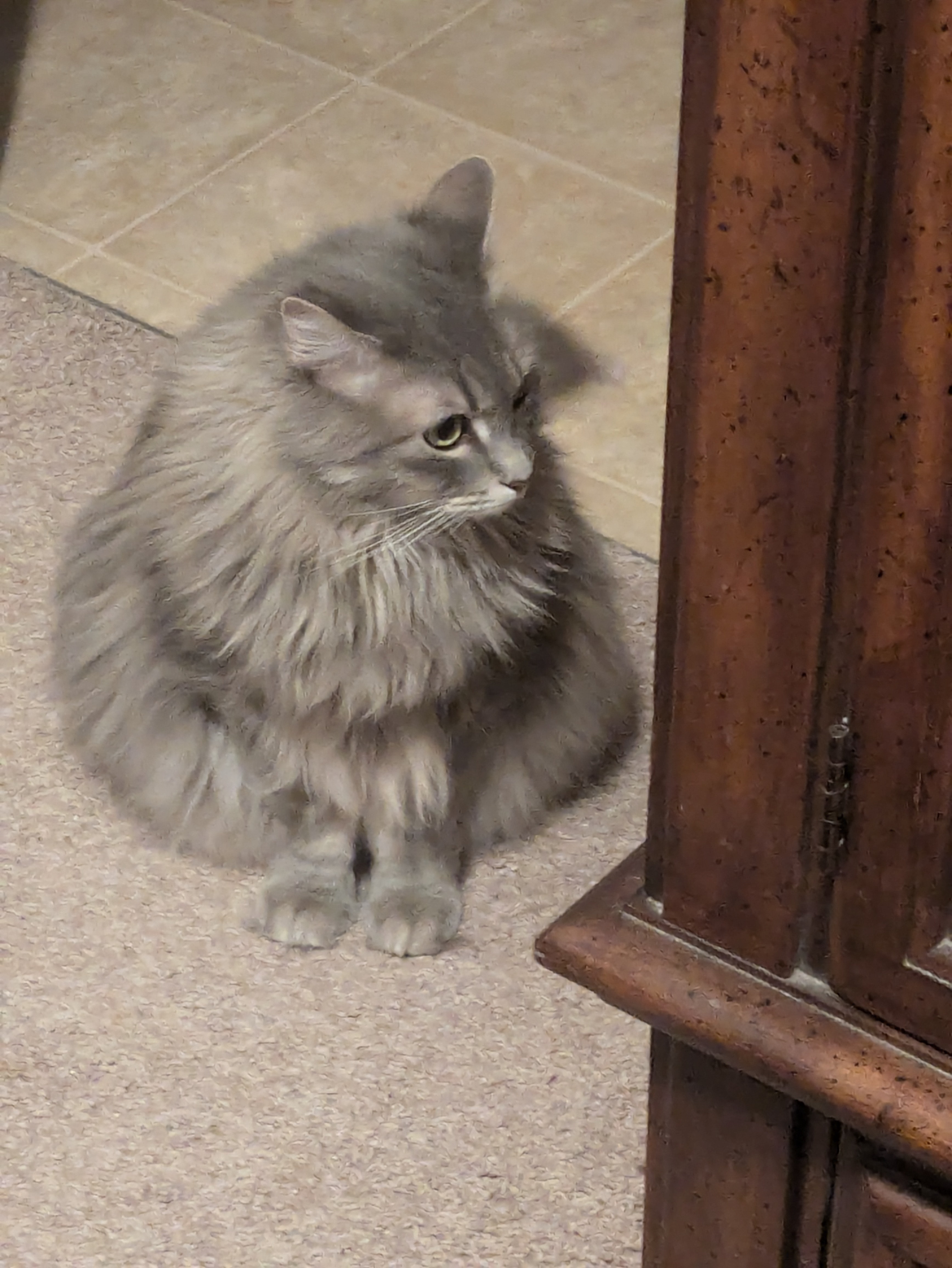 She’s a Tower of Pure Hatred