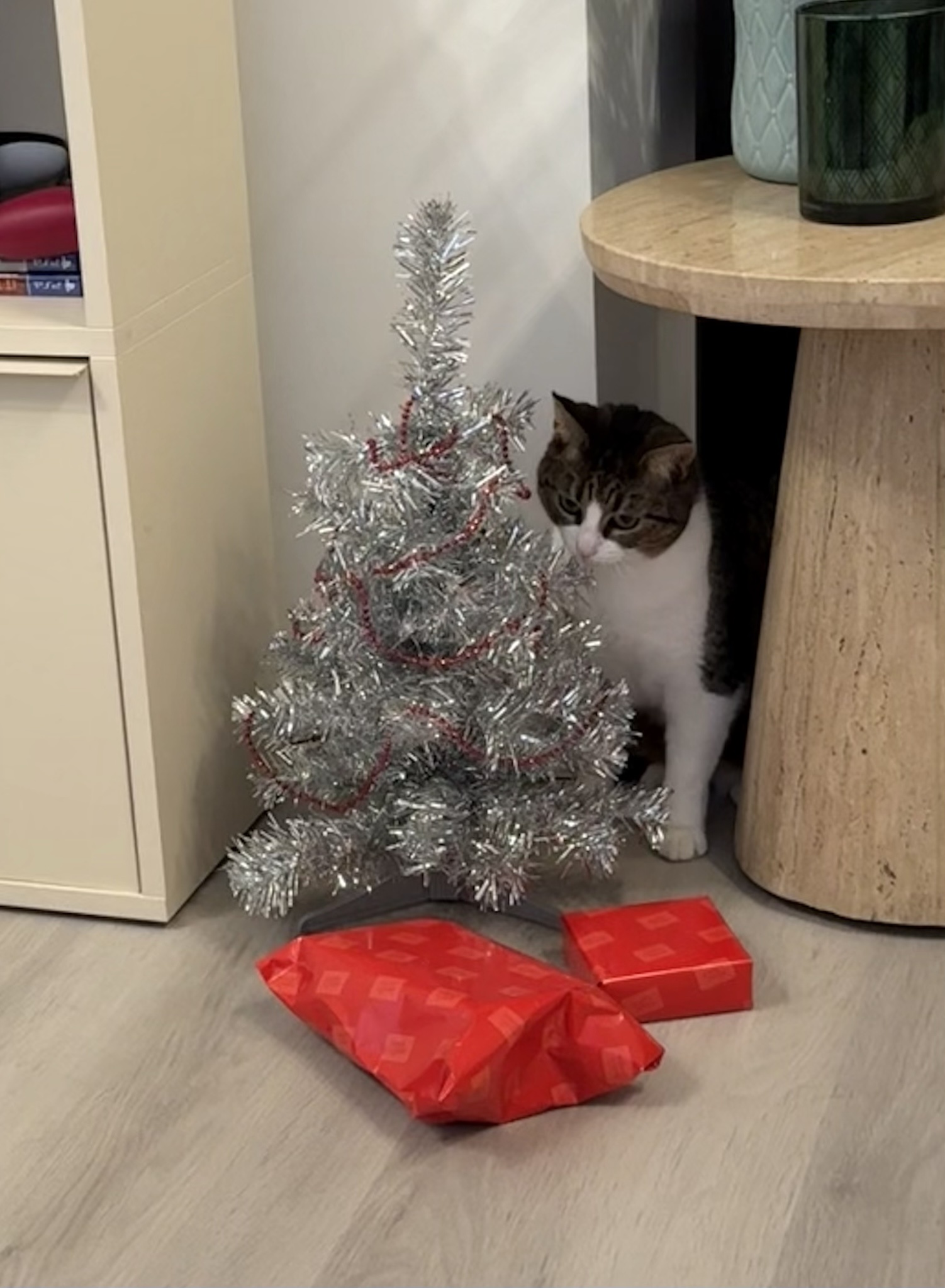 A Feline Surprise Under the Christmas Tree