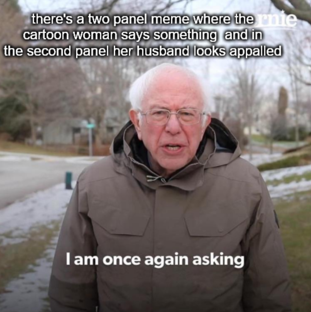 Help Needed: Stuck on a Meme Idea Without a Template Name
