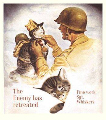Sgt. Whiskers: Honored for Bravery Against The Mrrowwwhisssss