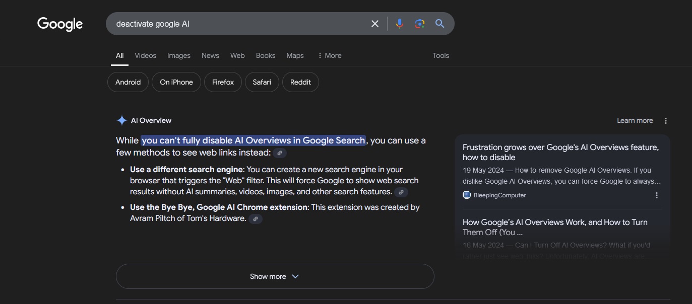 When AI Tries to Solve Its Own Problems: A Google Adventure