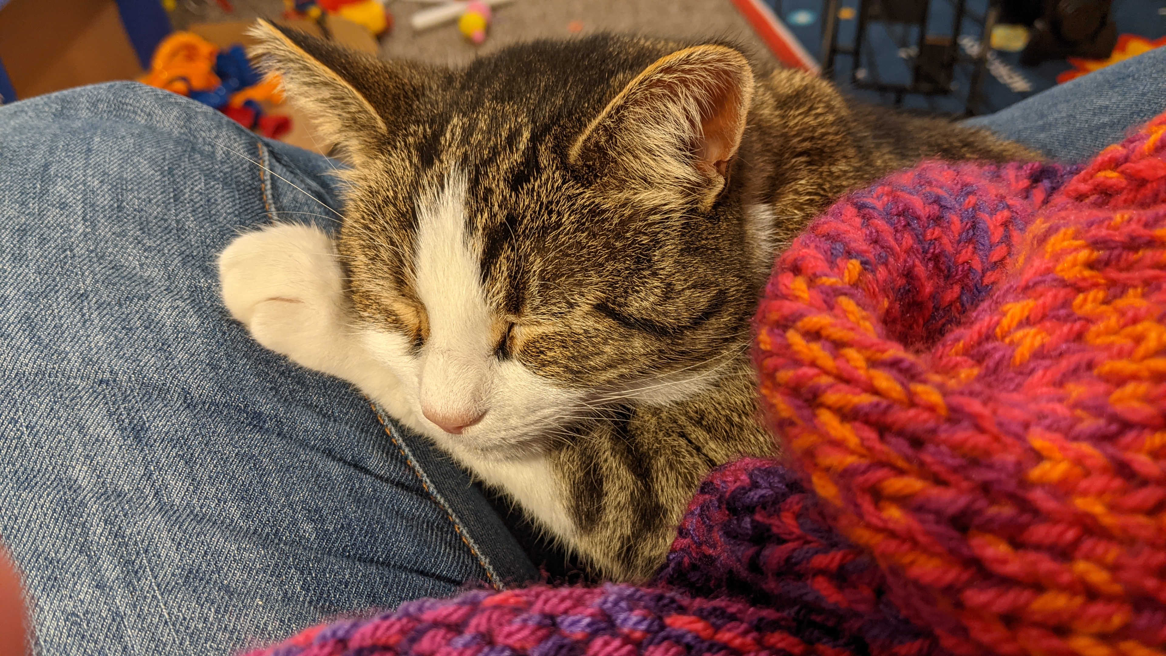 Meet Menace #60: The Latest Addition to the Crew