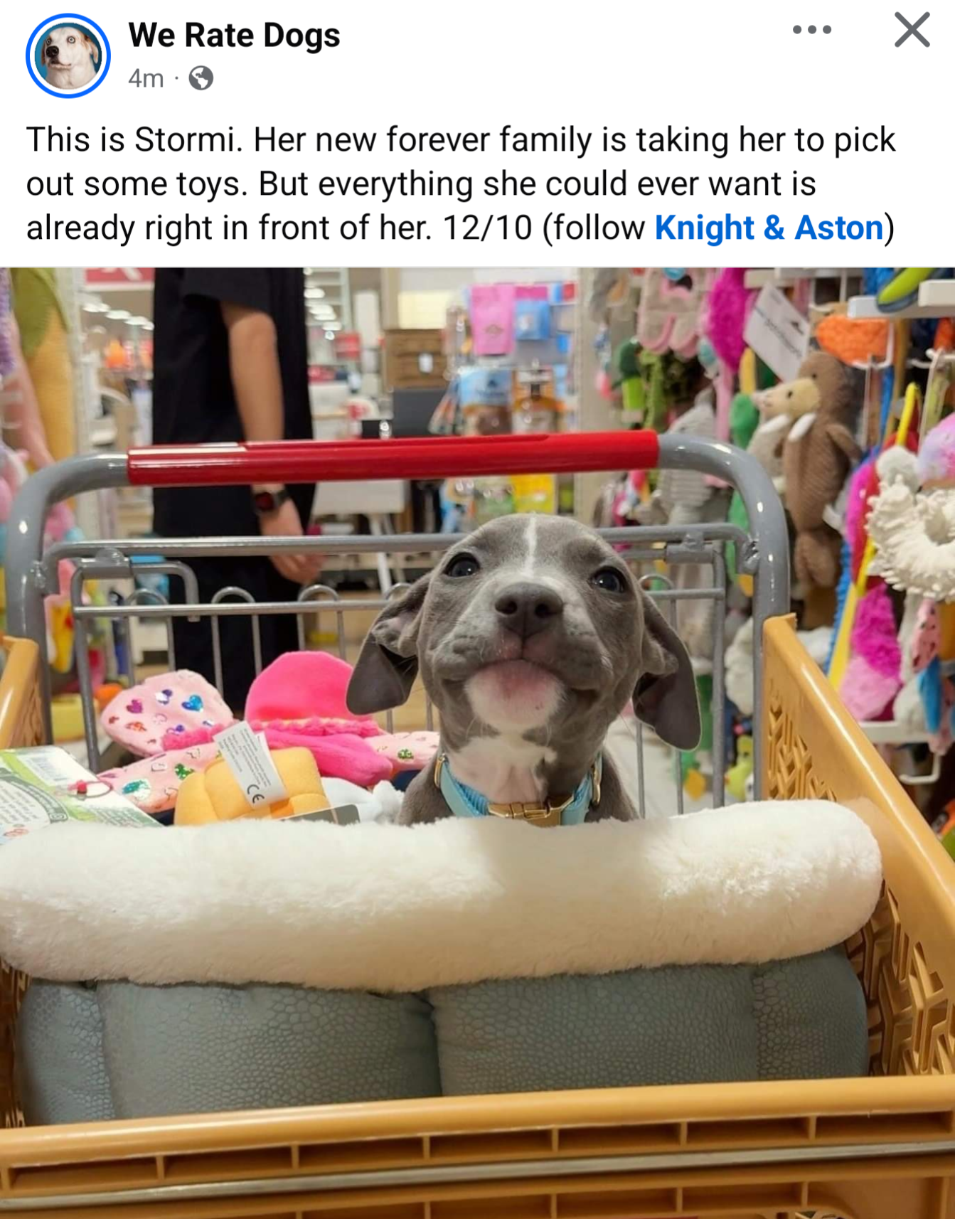 My heart is full of love!