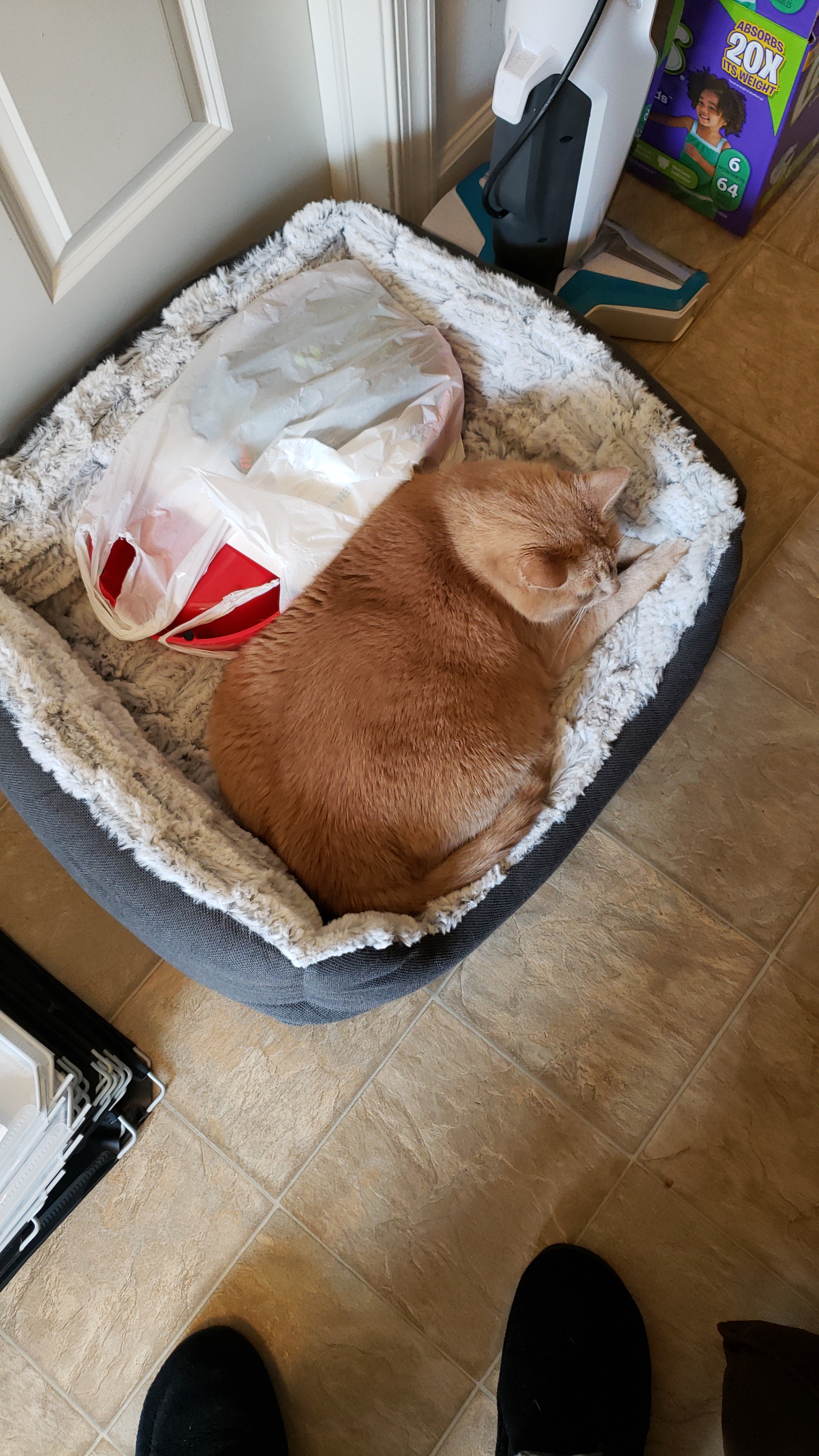Holding Him Close as He Took His Last Breath