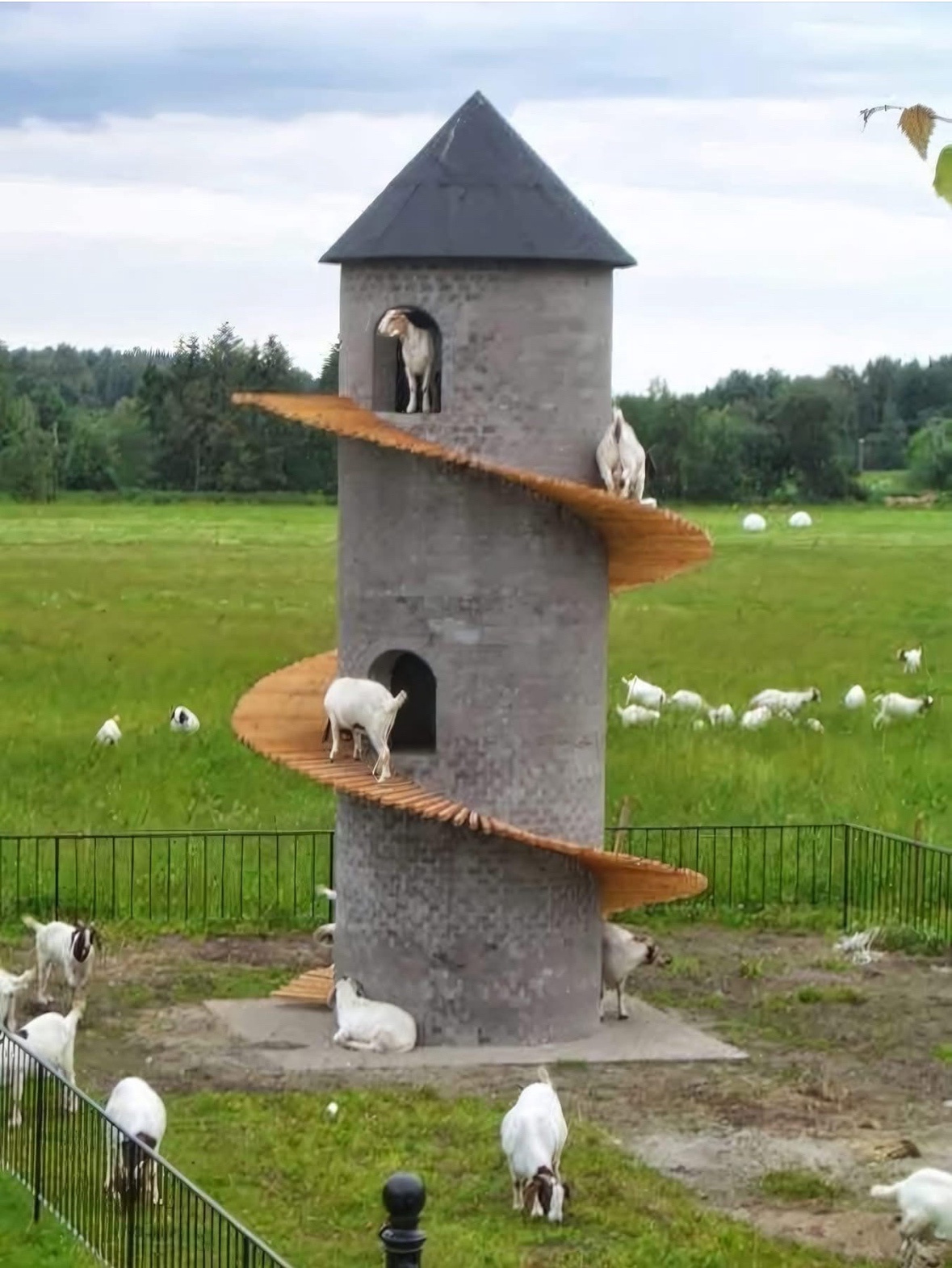 A Majestic Goat Castle Adventure