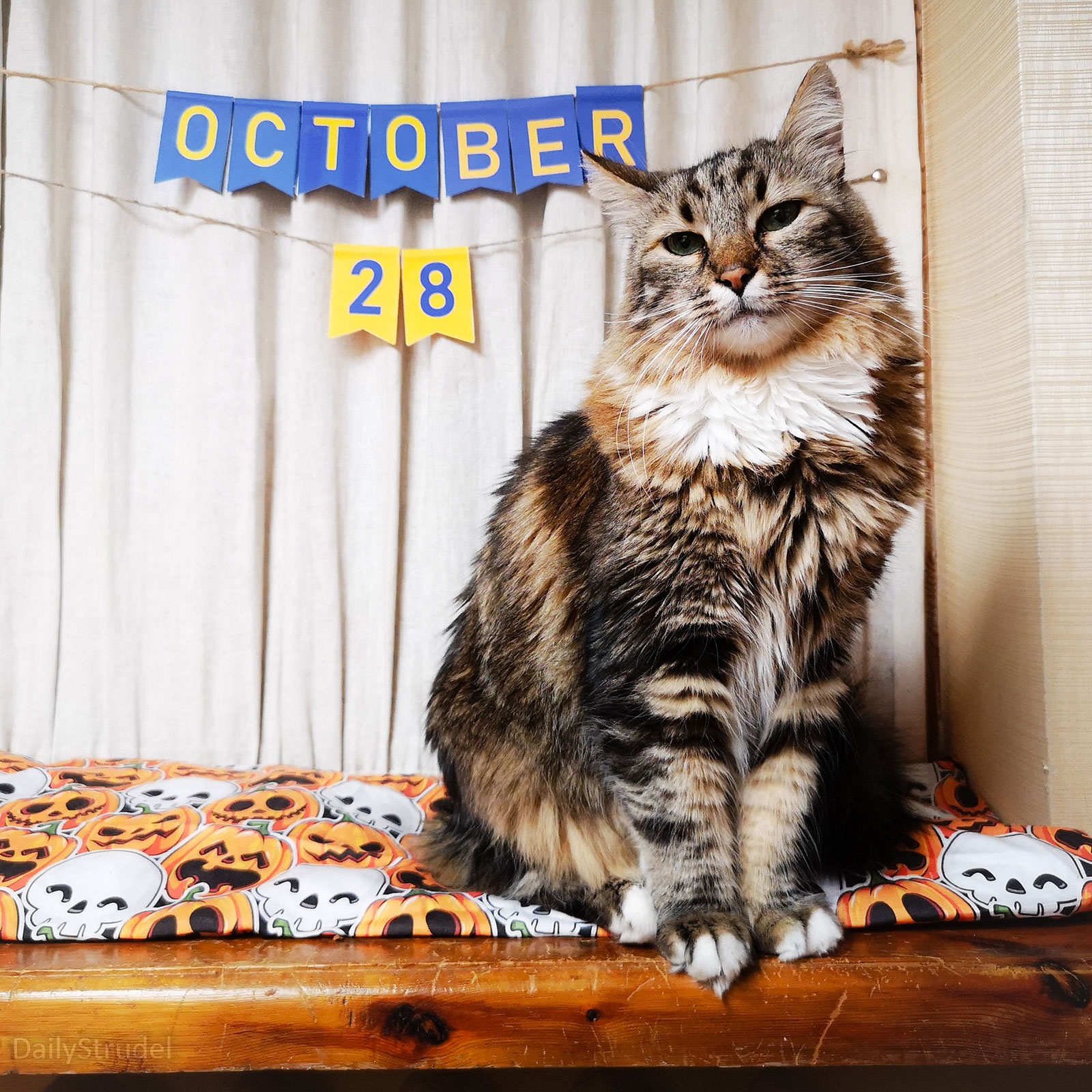 Mark Your Calendars: October 28