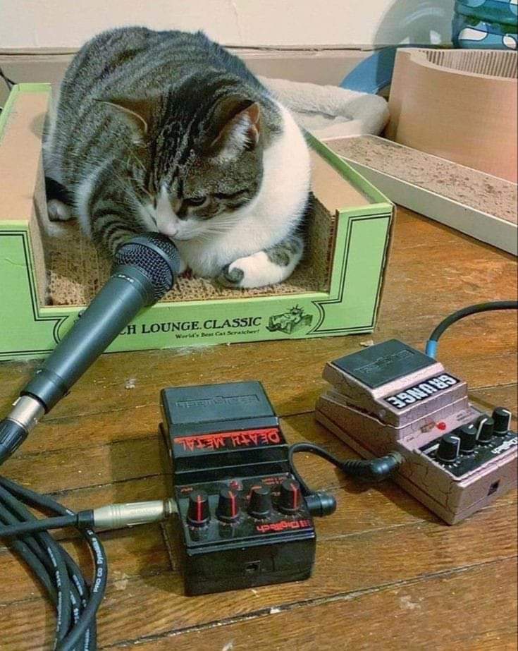 The life of an experimental musician.