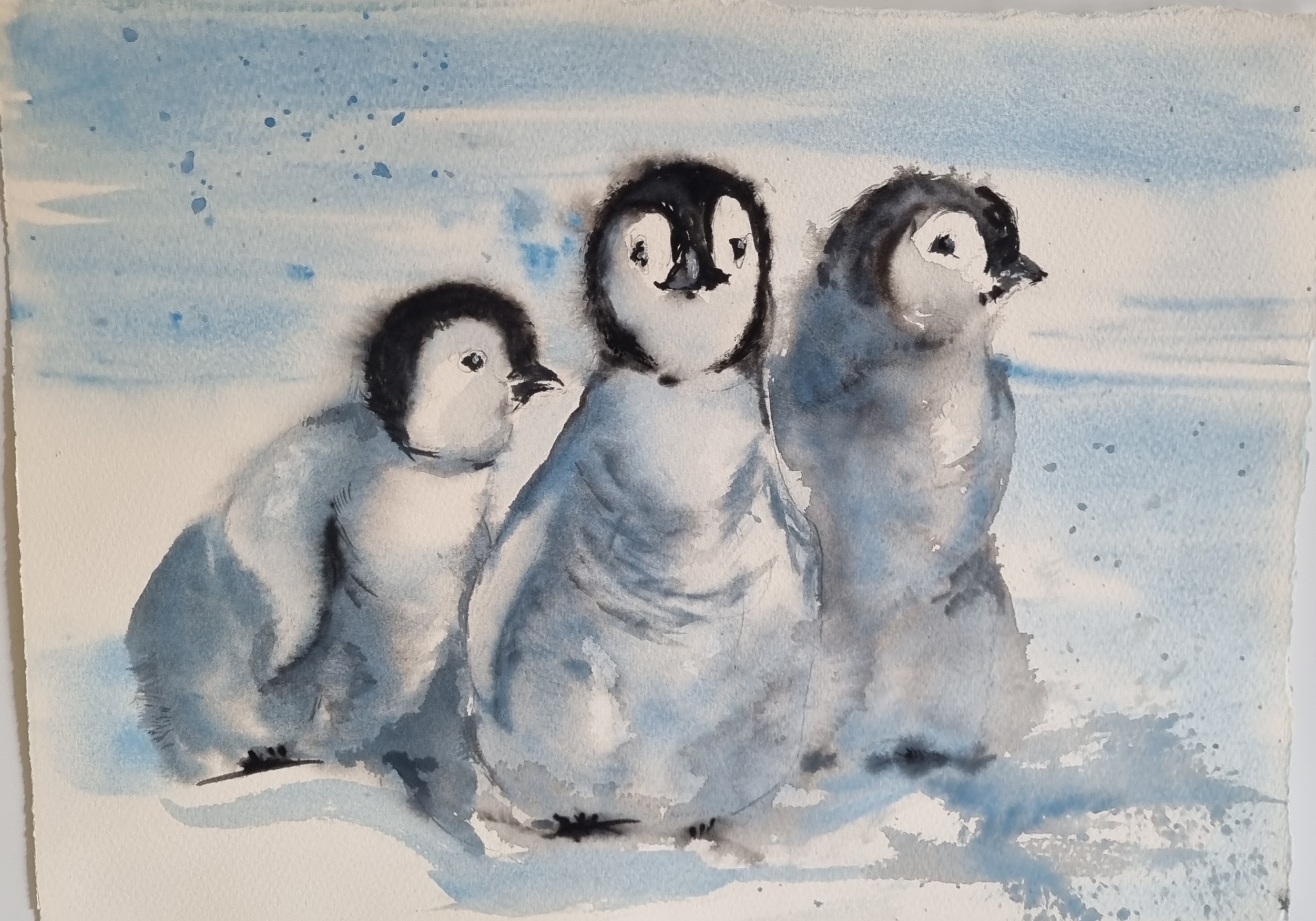 The Intriguing Adventures of My Painted Penguins