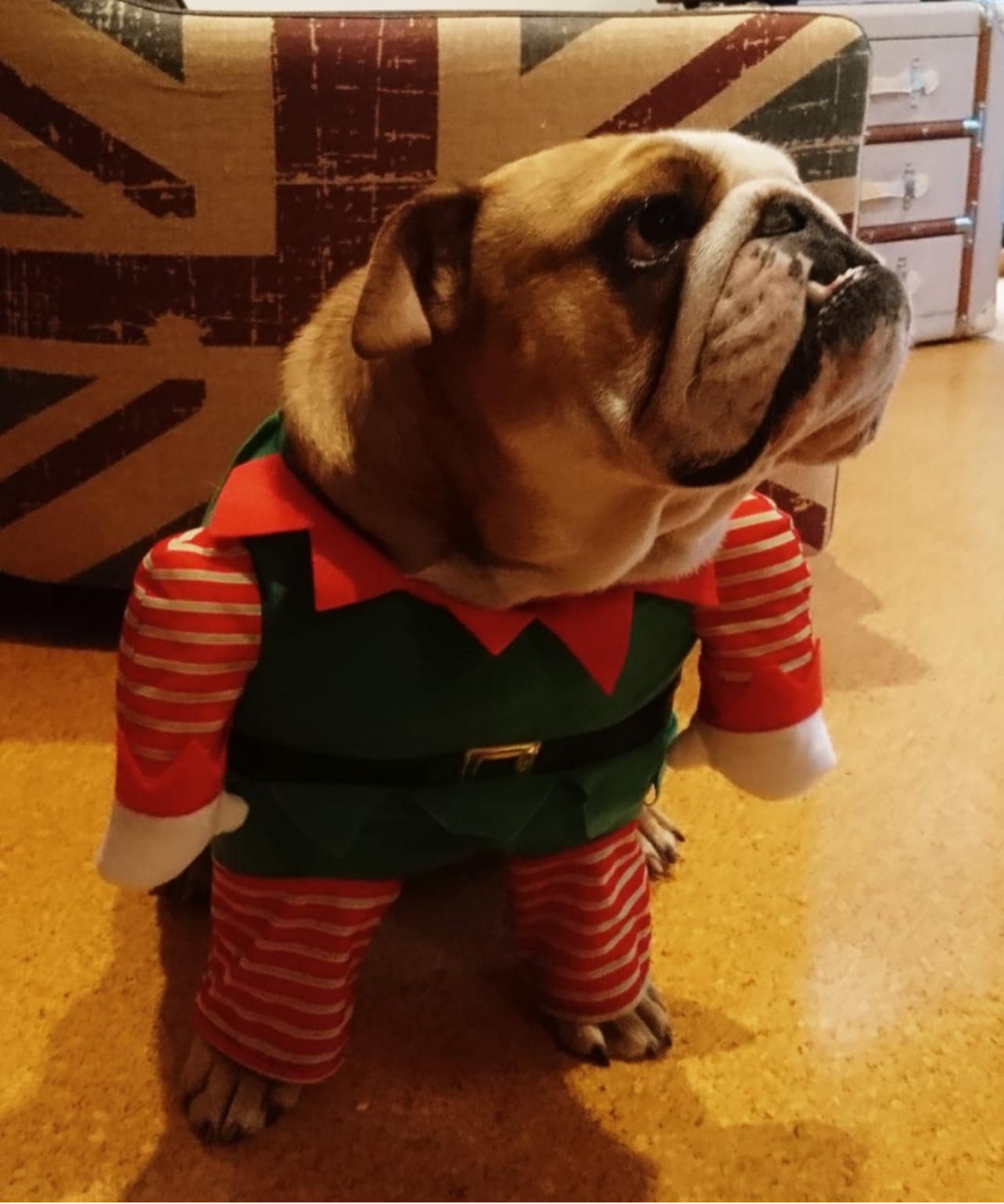 Merry Christmas, you delightful bunch of mischief-makers!