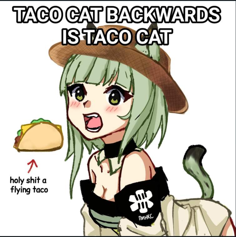 Taco Cat: The cutest palindrome you'll ever meet!