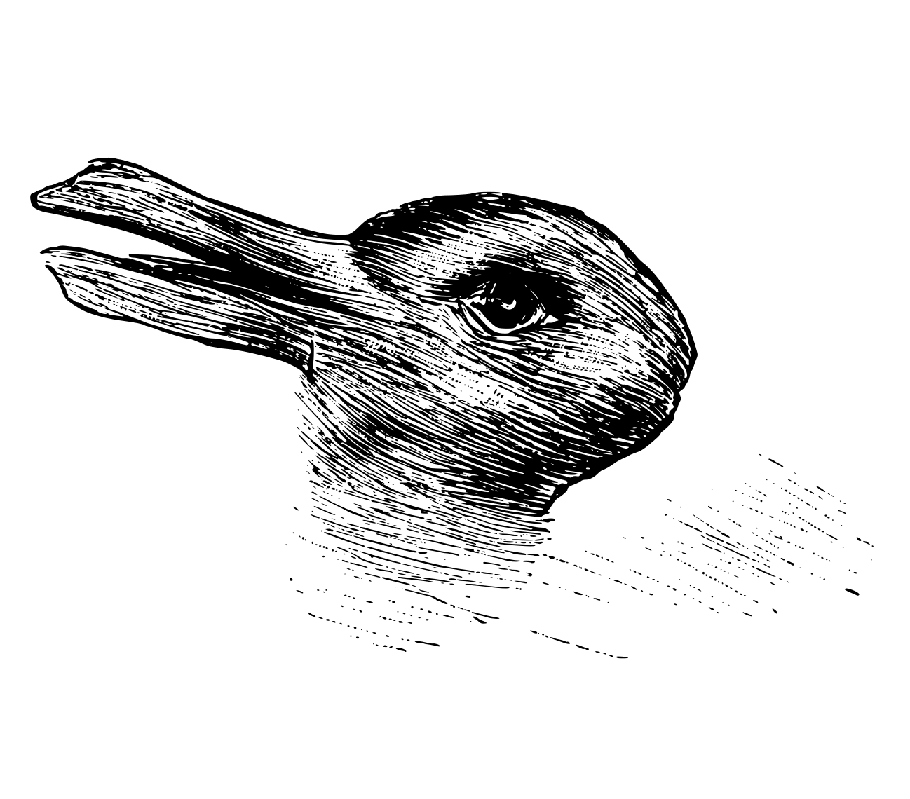 Is It a Duck or a Rabbit? The Ultimate Visual Dilemma