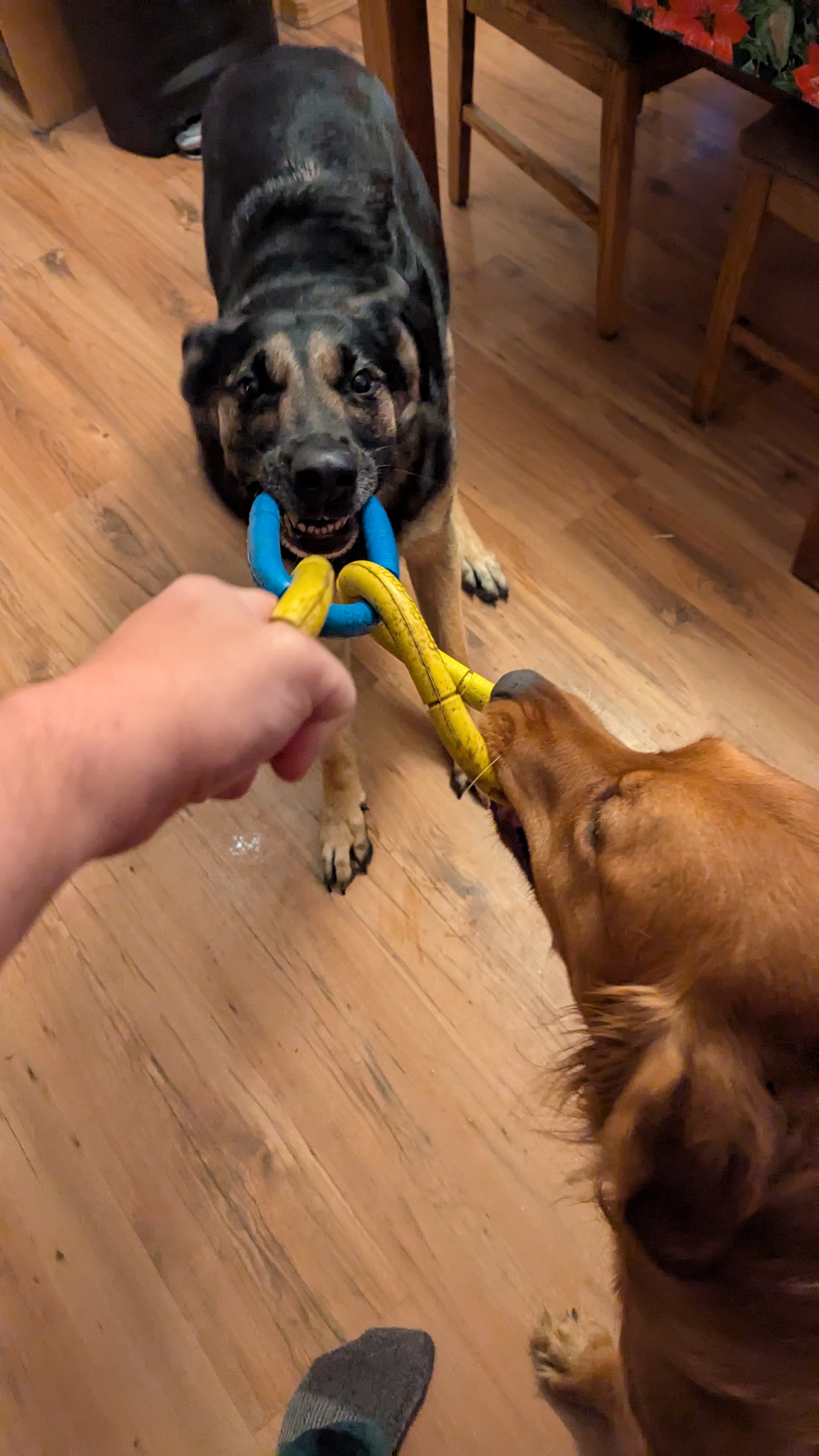 One Against Two: The Ultimate Showdown