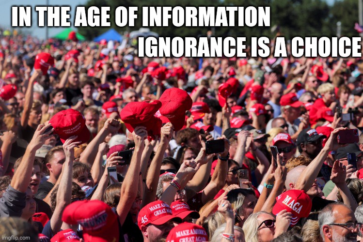 It's a Sad Reality: Ignorance Evolving into Plain Stupidity
