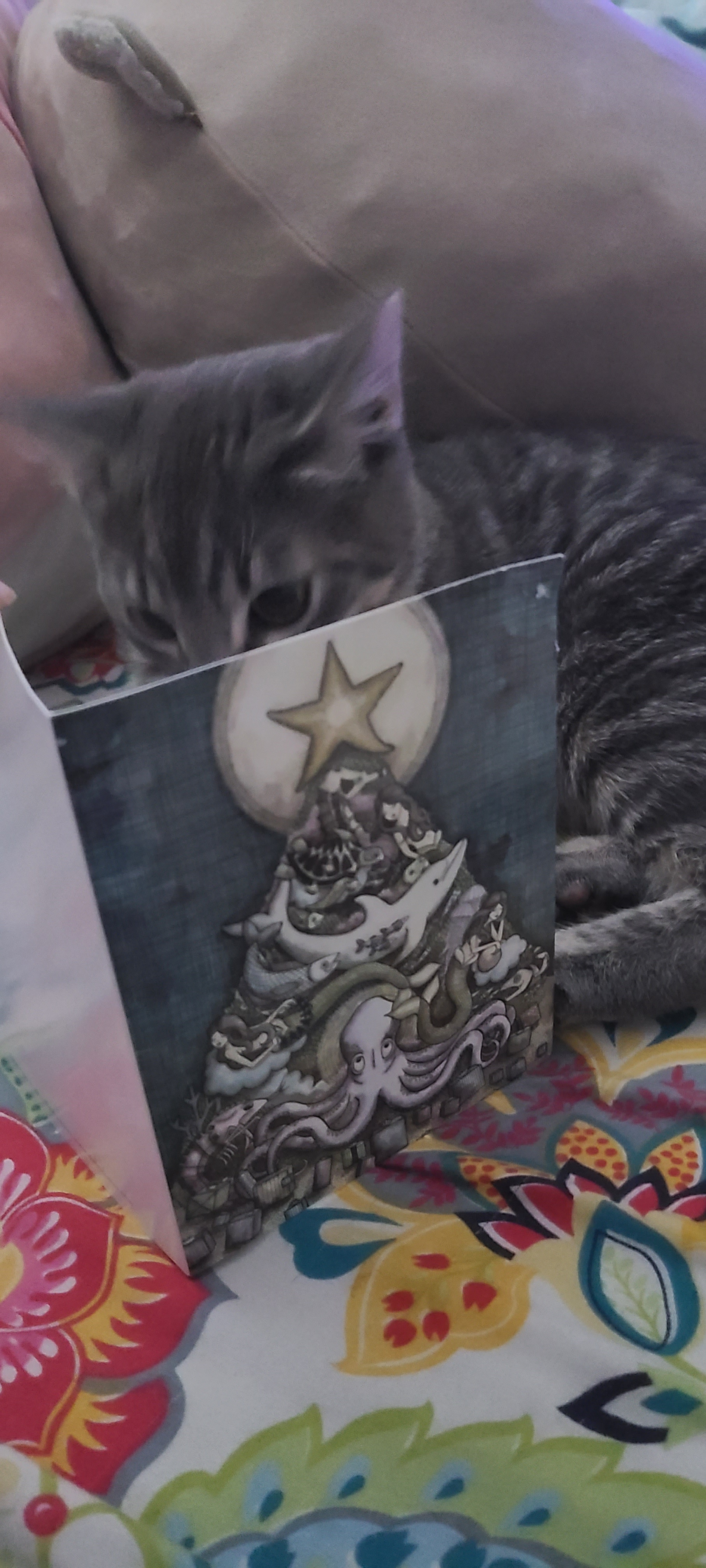 Adorable Holiday Card Featuring an Upset Baby!
