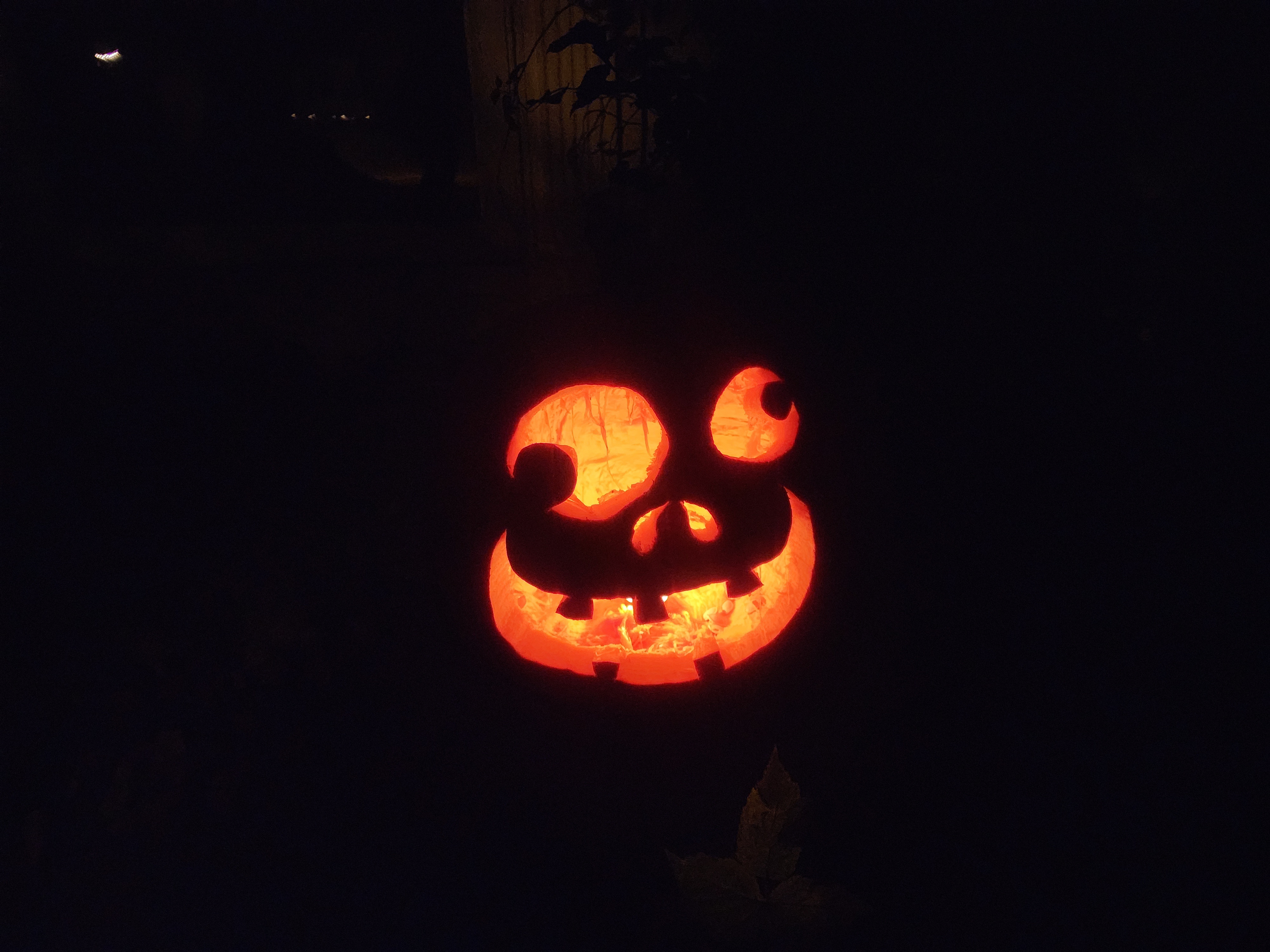 Pumpkin Season is Here!