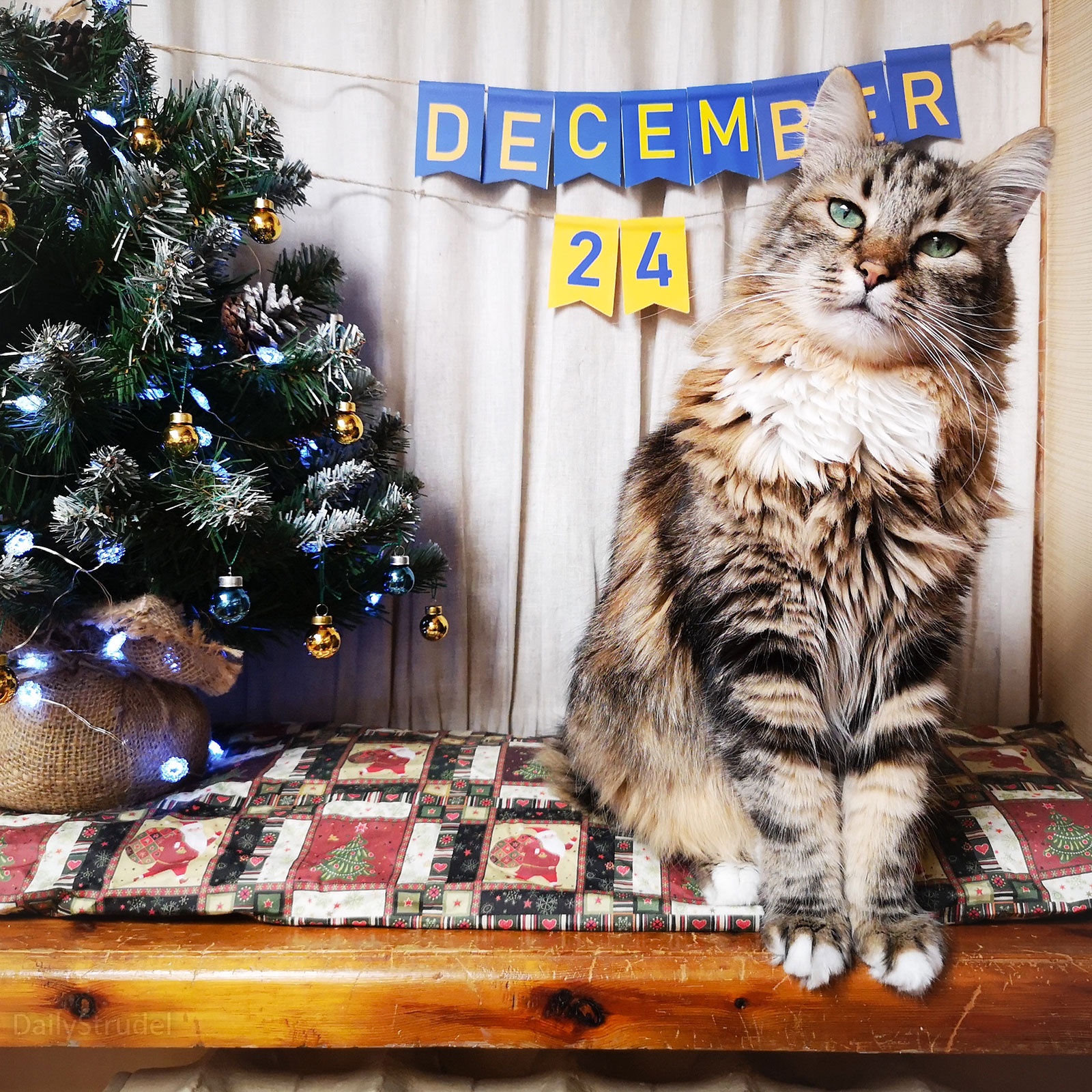 The Anticipation of December 24