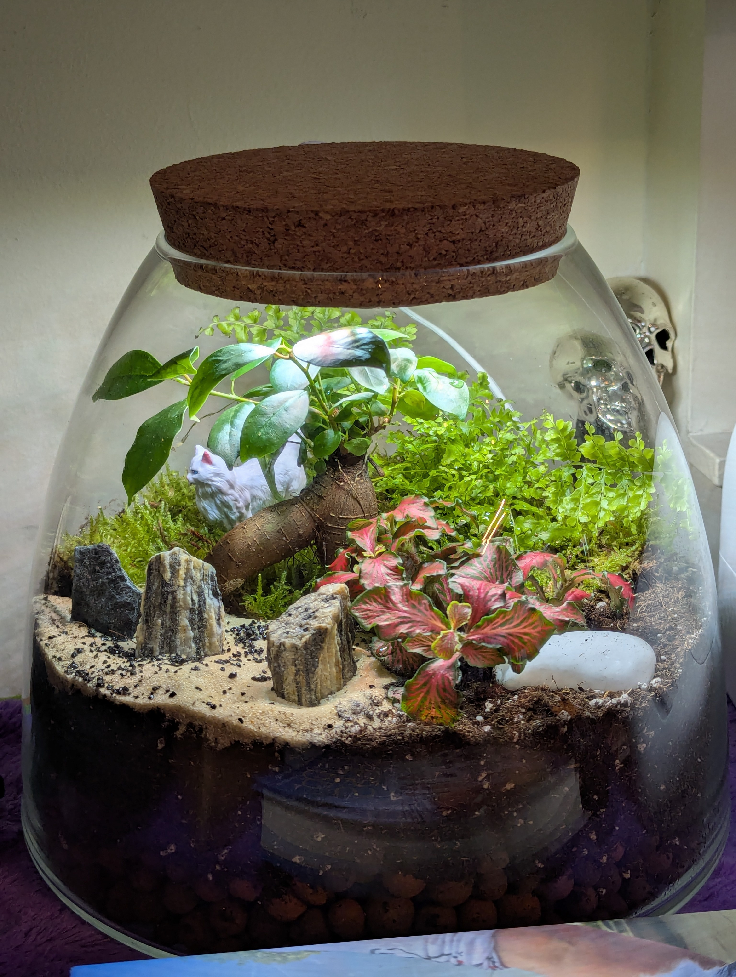 What do you think of my latest terrarium creation?