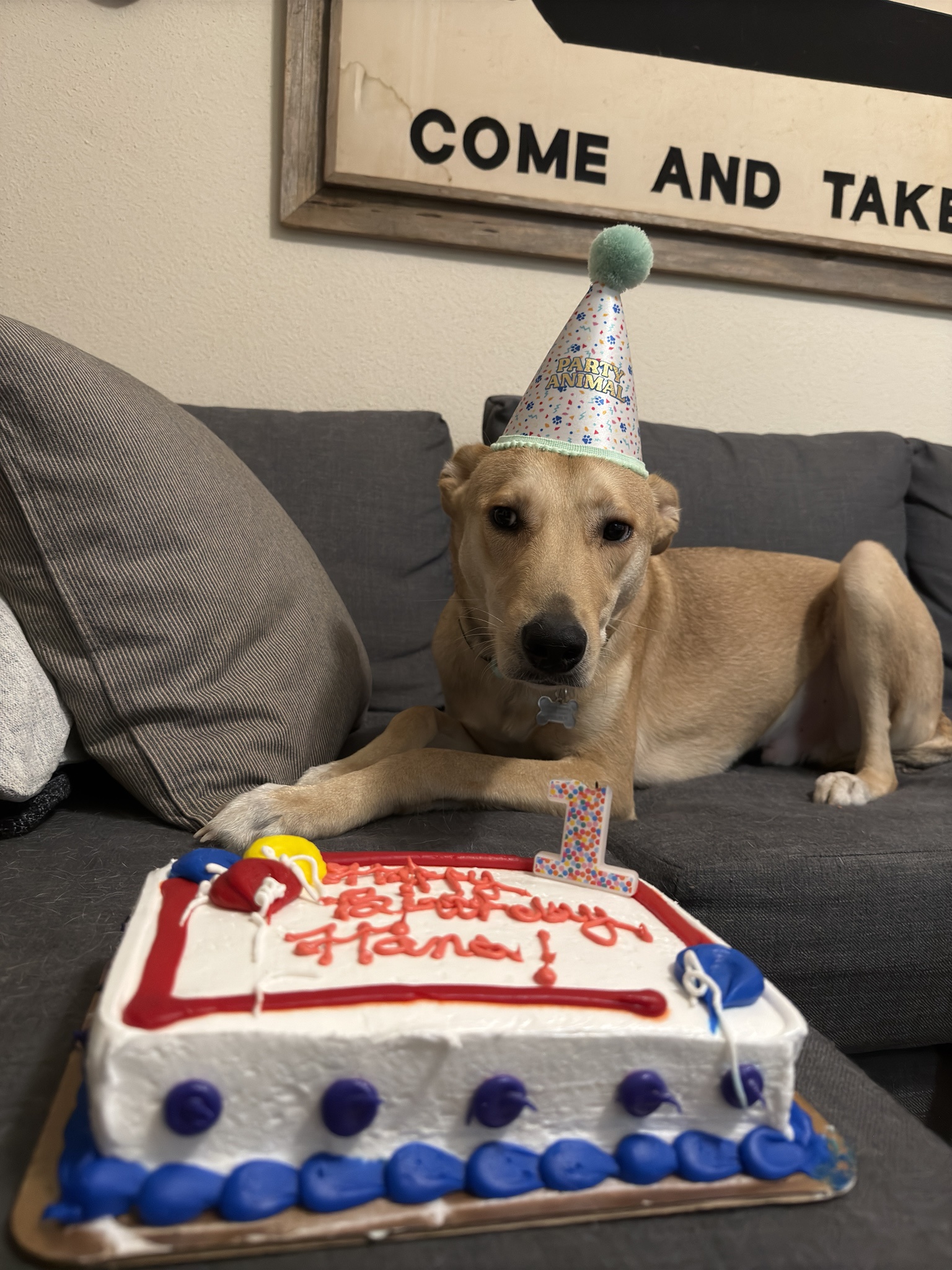 Celebrating My Best Boy's First Birthday After 15 Years of Love!