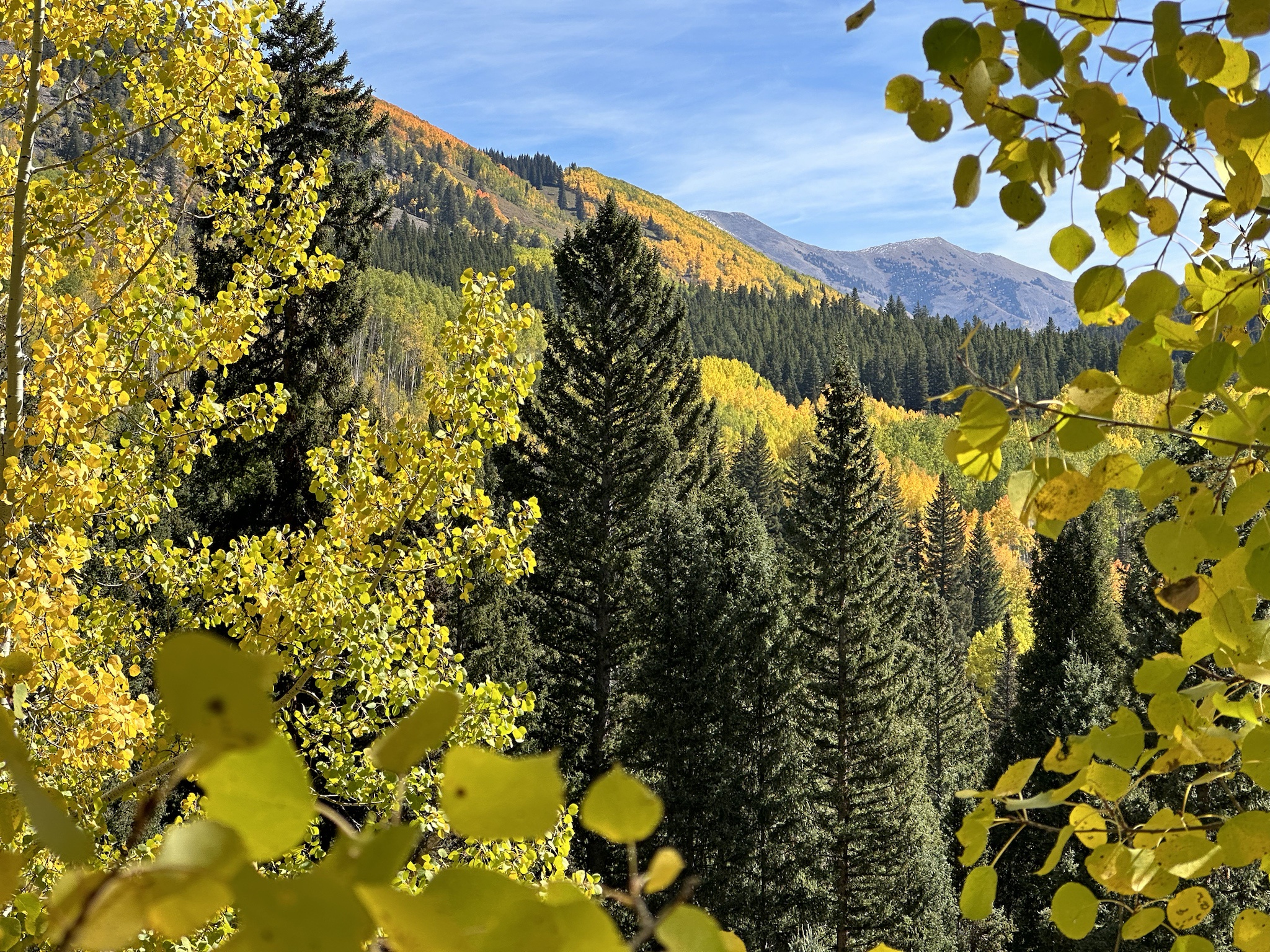 Vibrant Fall Colors from My 9th Cakeday Celebration