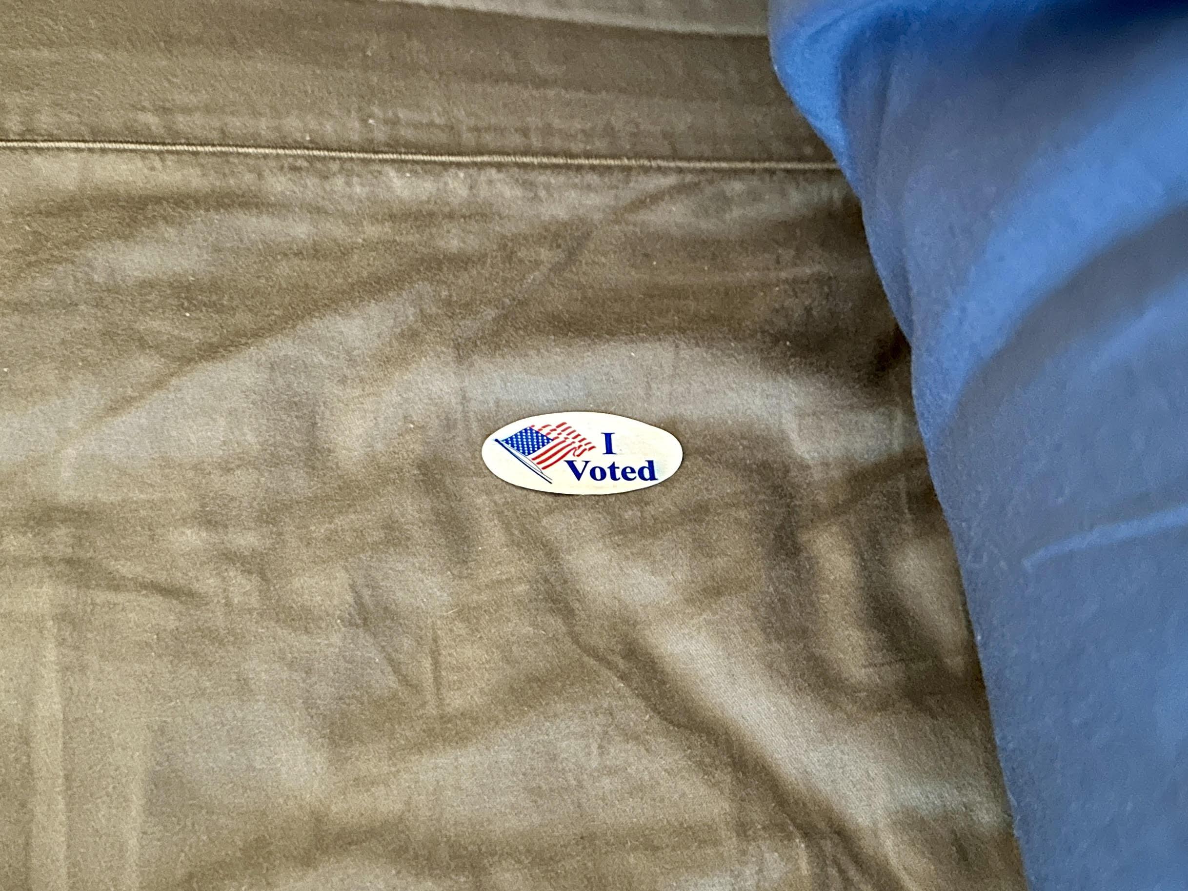 The Magical Election Fairy Has Arrived!
