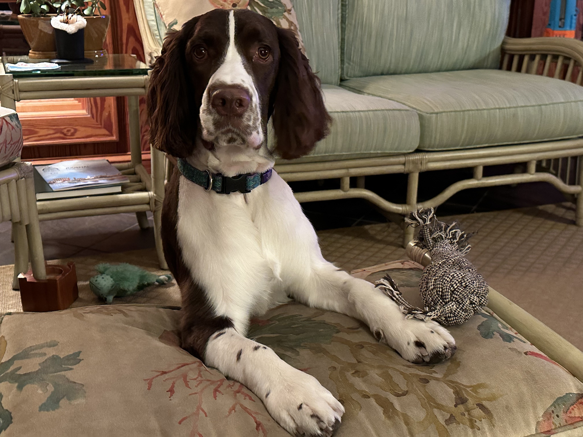 What a dashing young man!