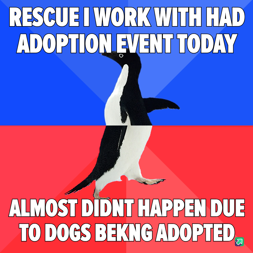 We Still Have Three Dogs, and We Almost Had None!