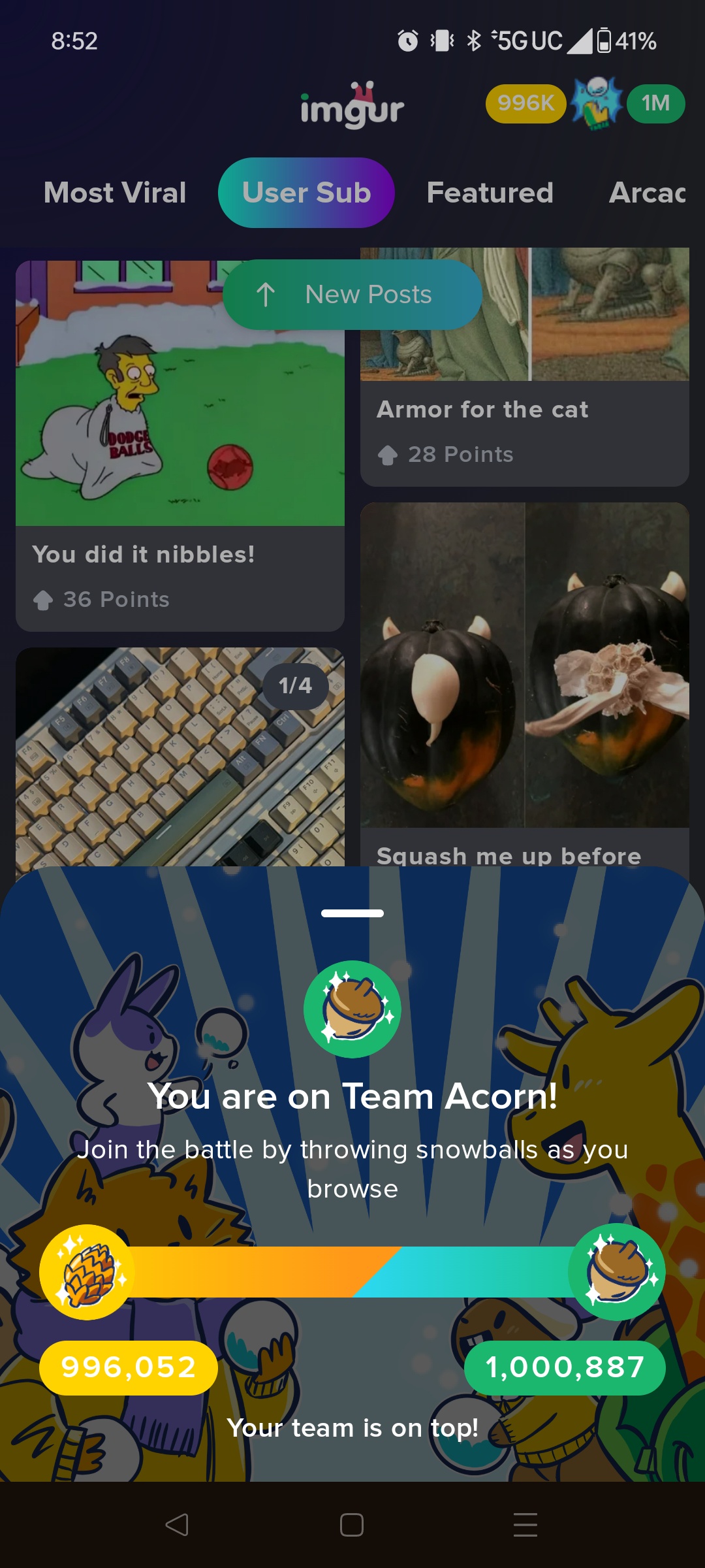 Team Acorn: The Ultimate Champions!