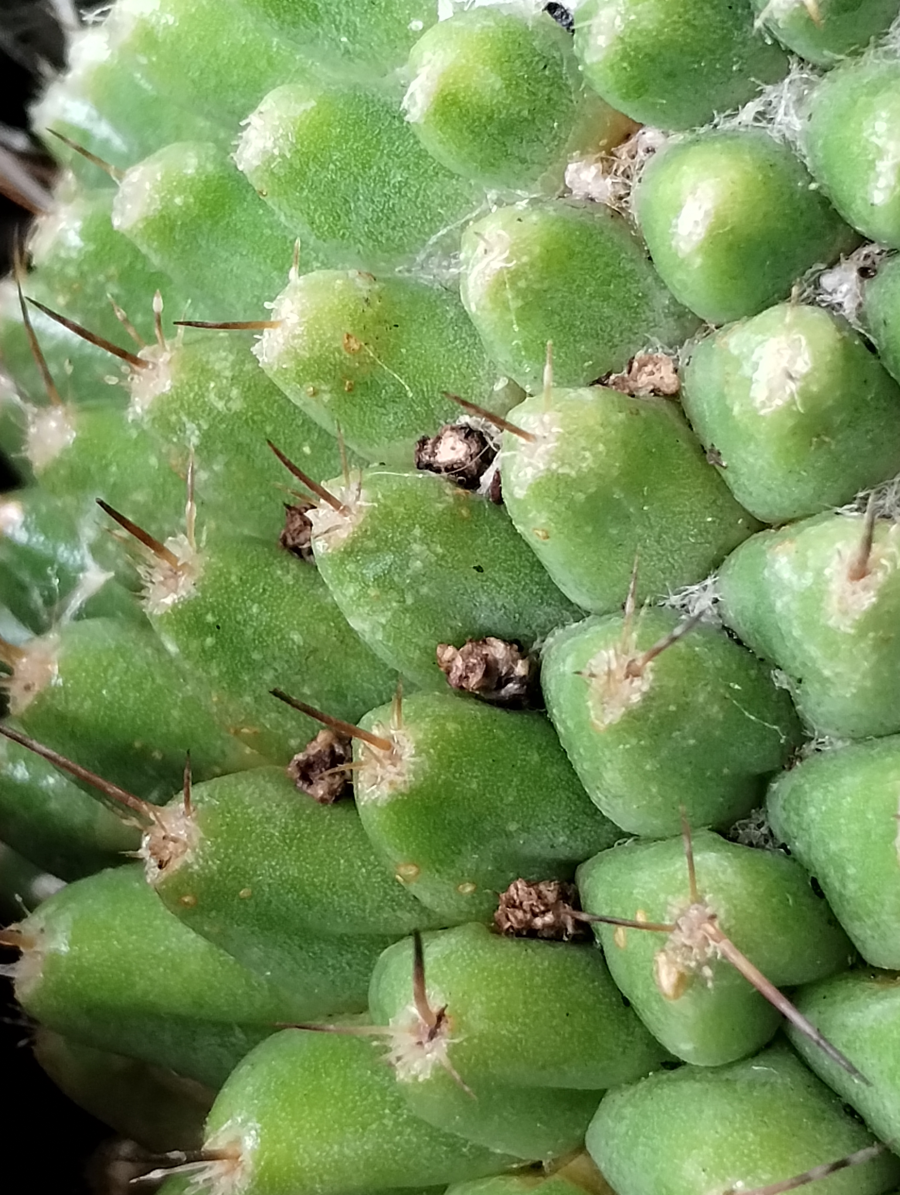 Intriguing Details Worth Noticing