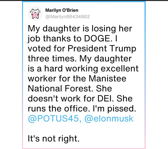 So You Voted to Fire Your Own Daughter and Clearly Miss the Point of DEI - A Slow Clap for the Slow Learner