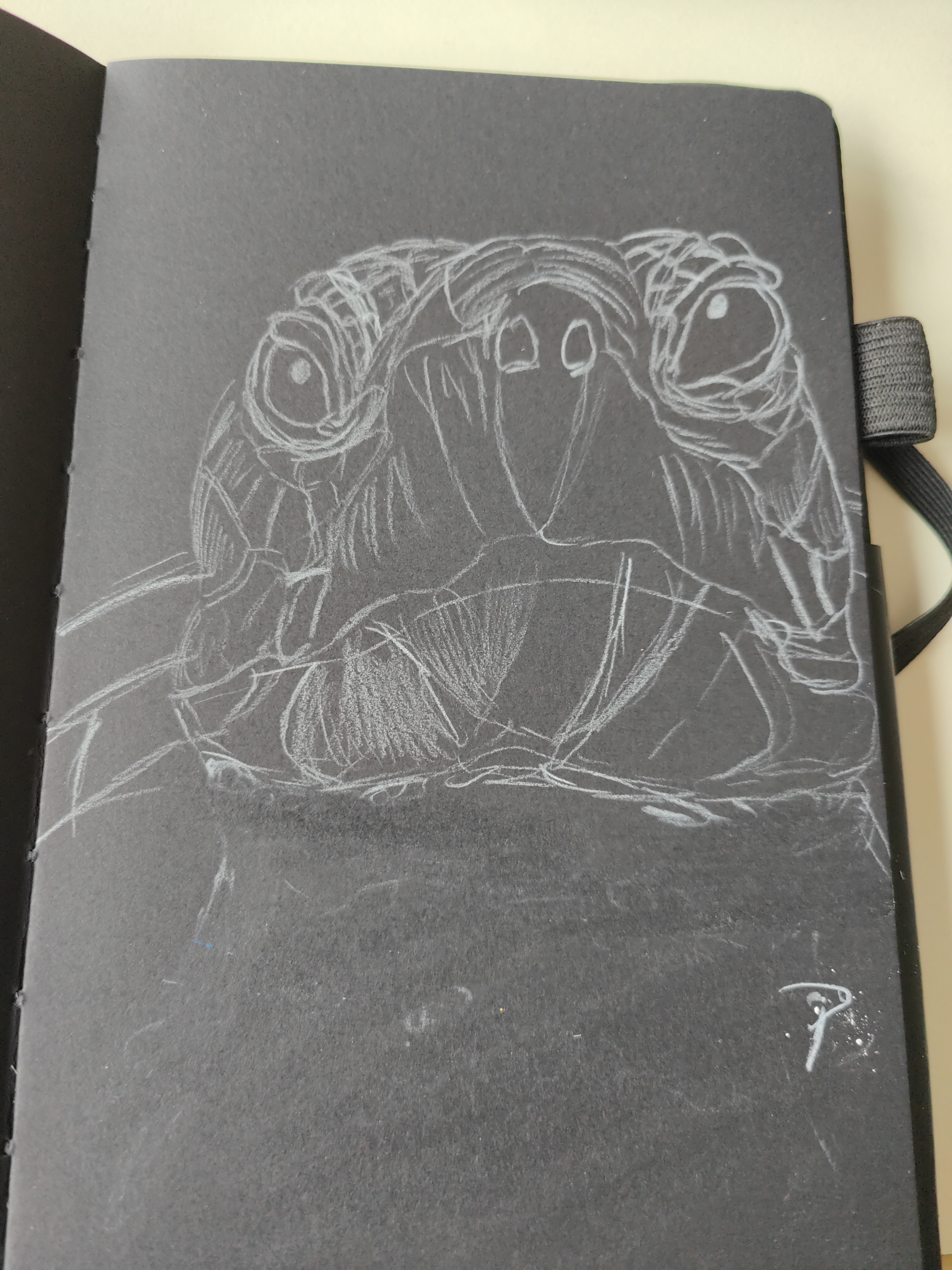 A Truly Realistic Turtle