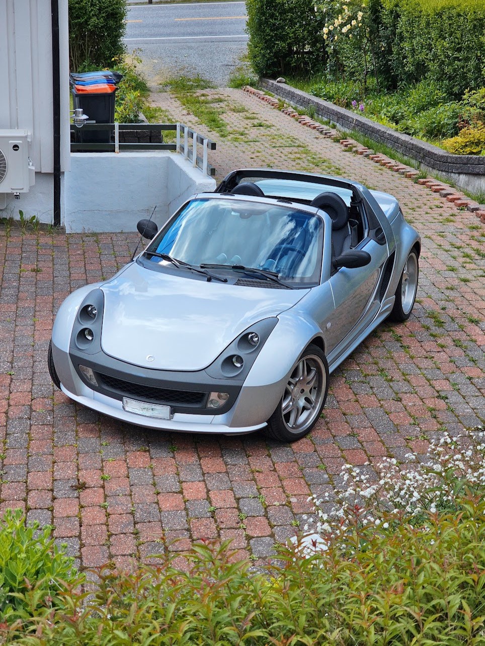 Just the Right Speed for a Thrilling Experience