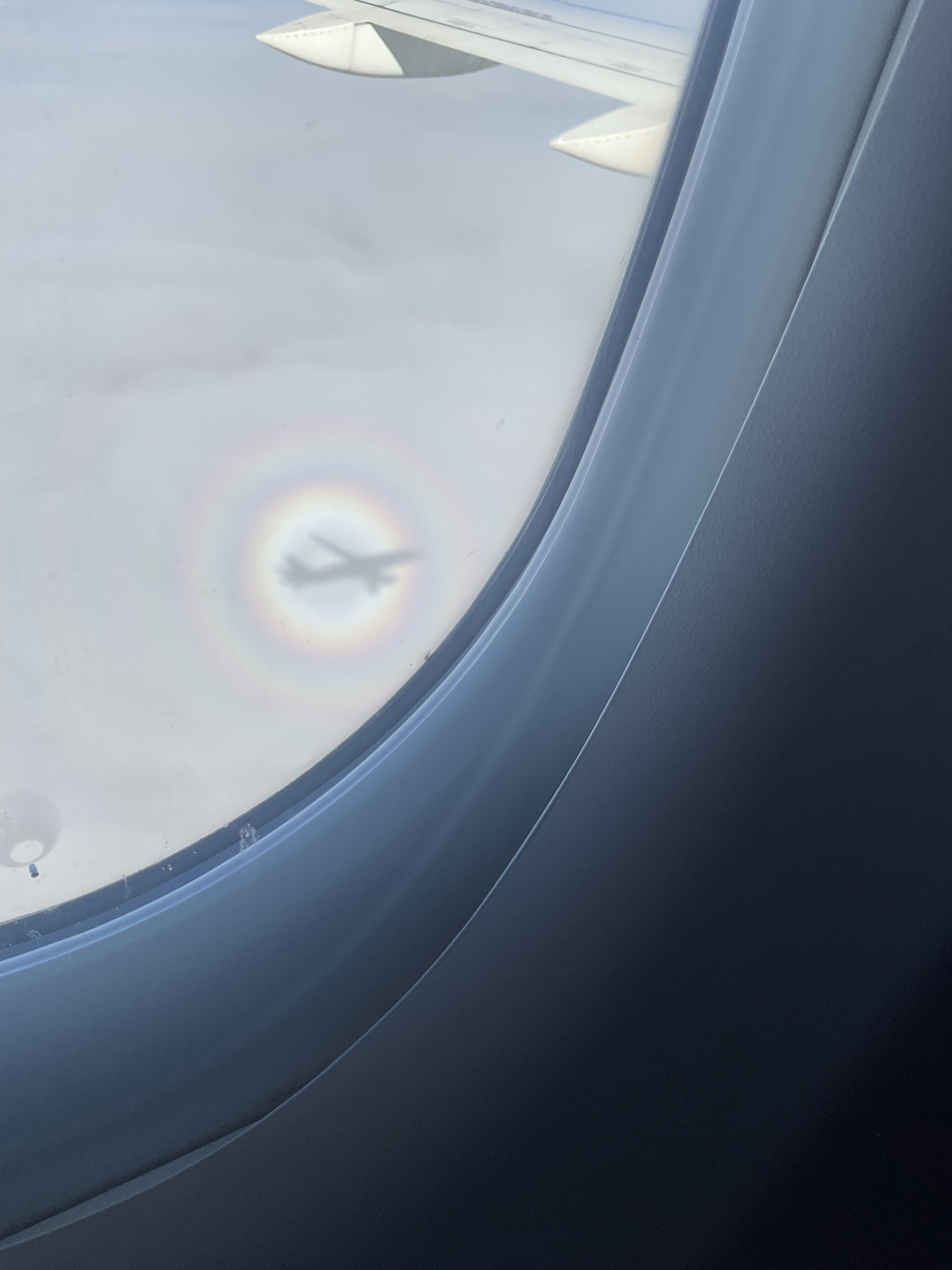 A Stunning Rainbow Framed by an Airplane's Shadow in the Clouds