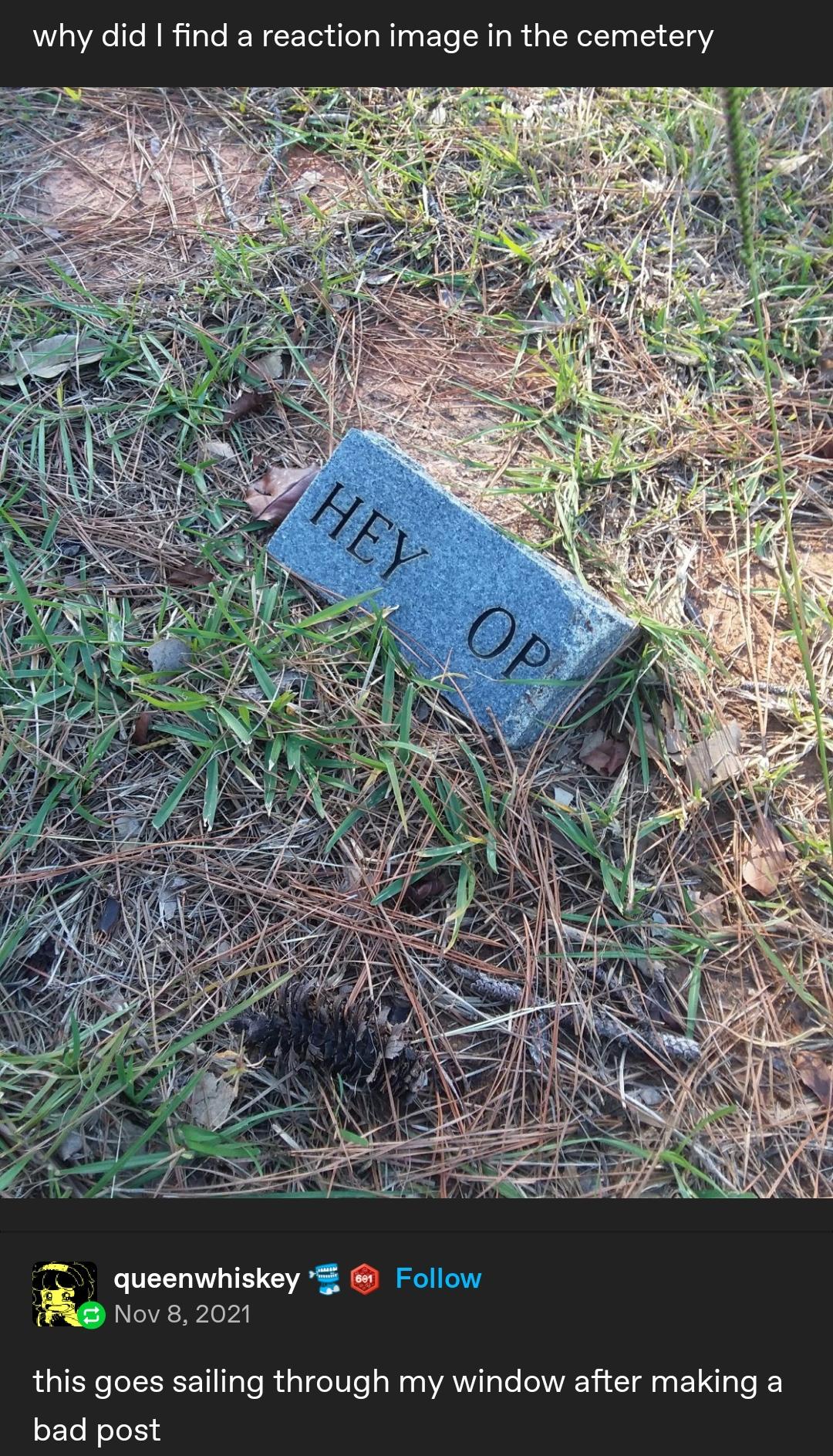 Hey OP, Let's Talk!