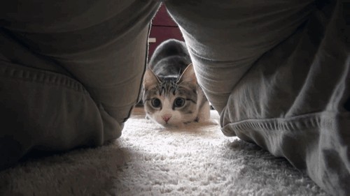 That moment when my new girlfriend asks if I’m willing to go down on her.